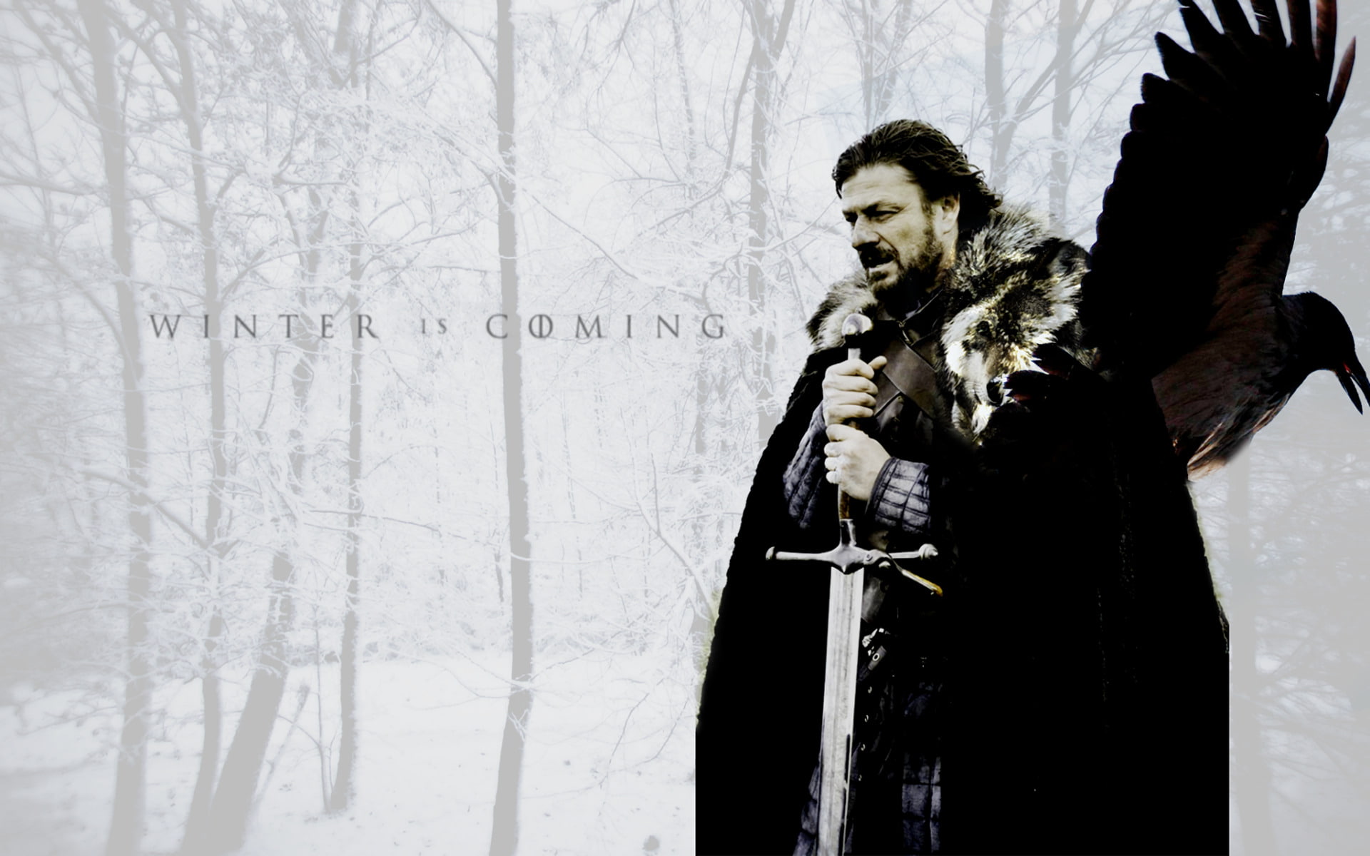 Game Of Thrones, Sean Bean, Eddard Stark, TV Show, 1080P, HD Wallpaper