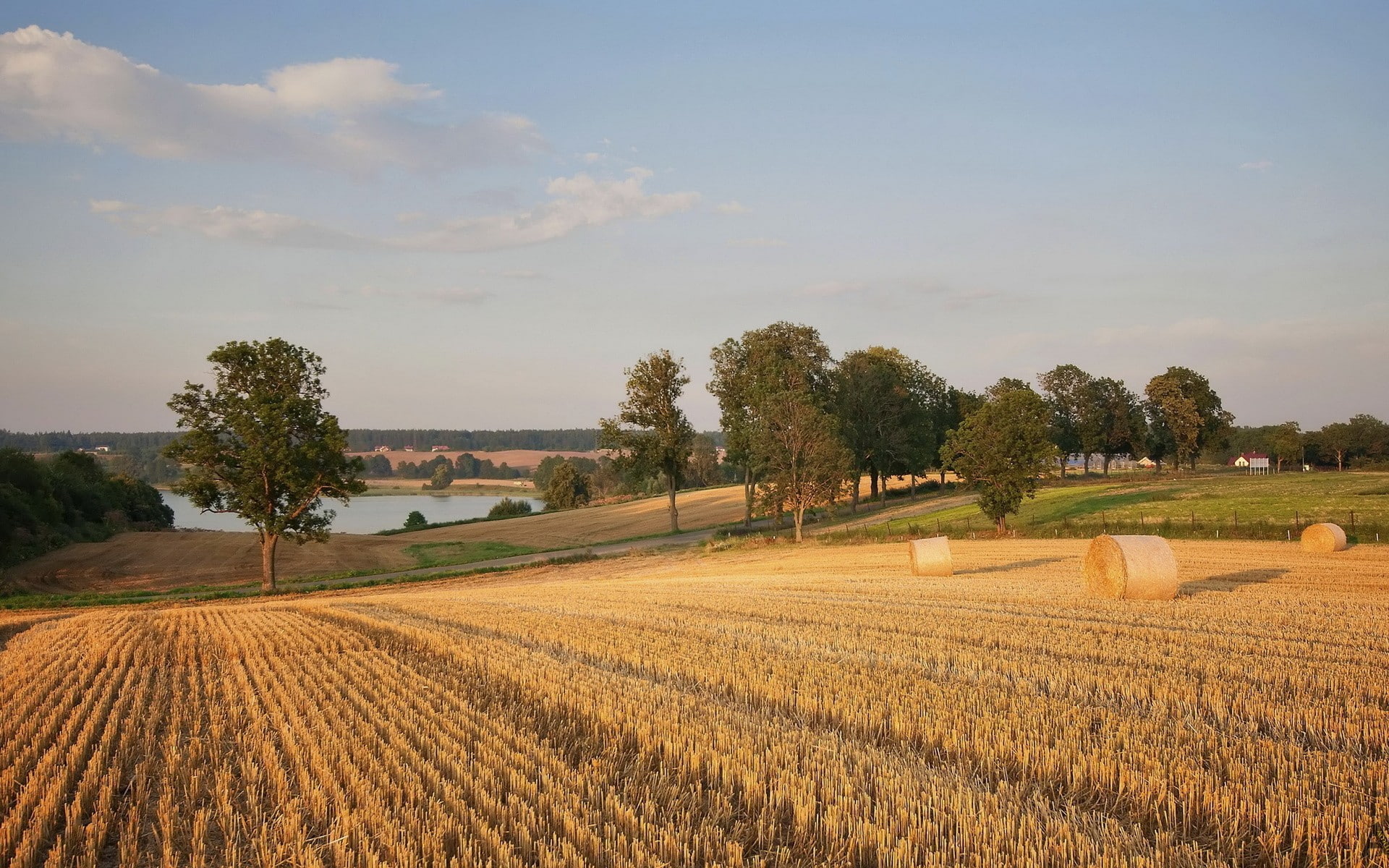agriculture, environment, land, cloud - sky, 1080P, landscape, road, stubble, nature, sky, day, field, plant, scenics - nature, tranquil scene, outdoors, HD Wallpaper