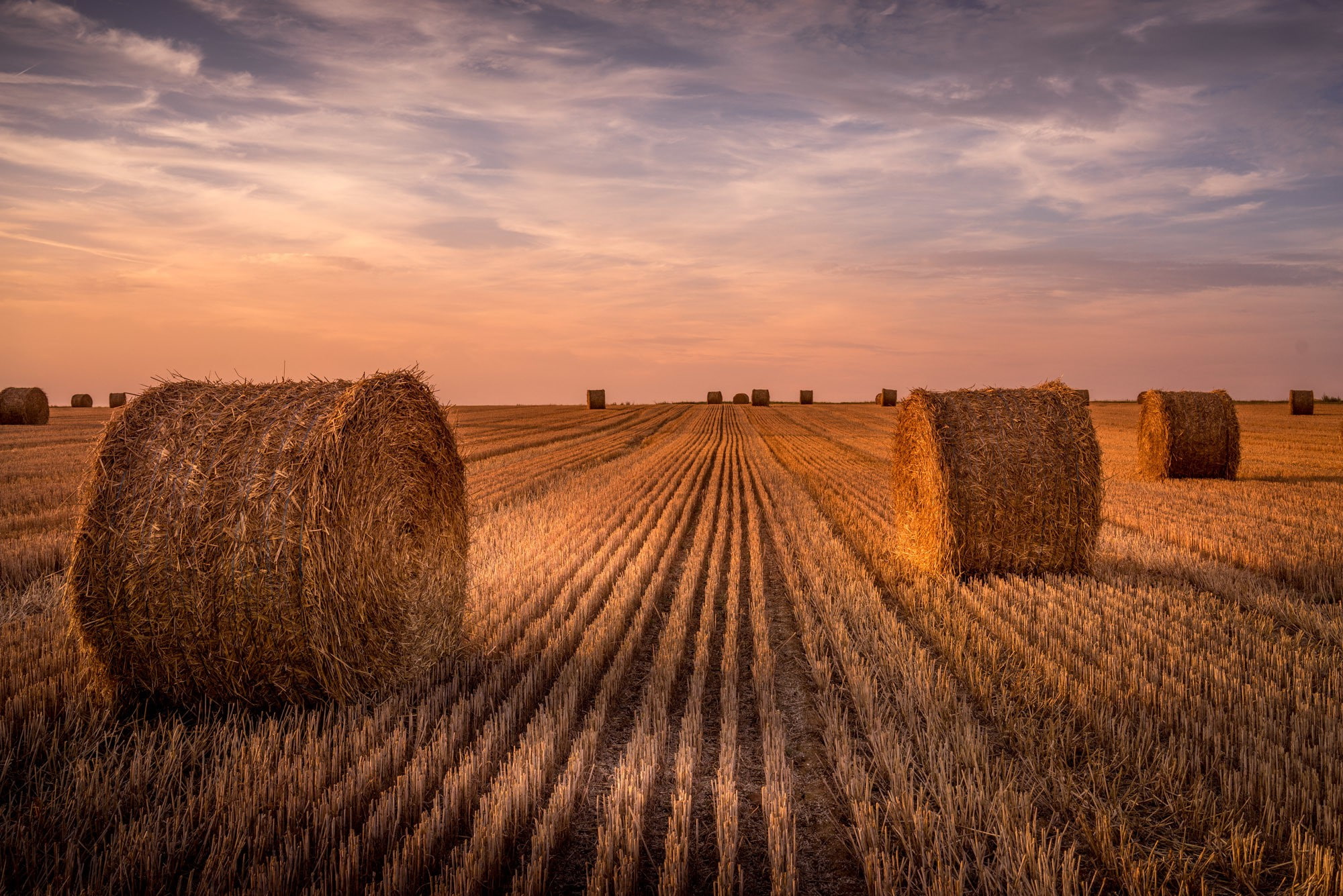 stubble, the stubble, harvesting, 1080P, field, rolls, HD Wallpaper