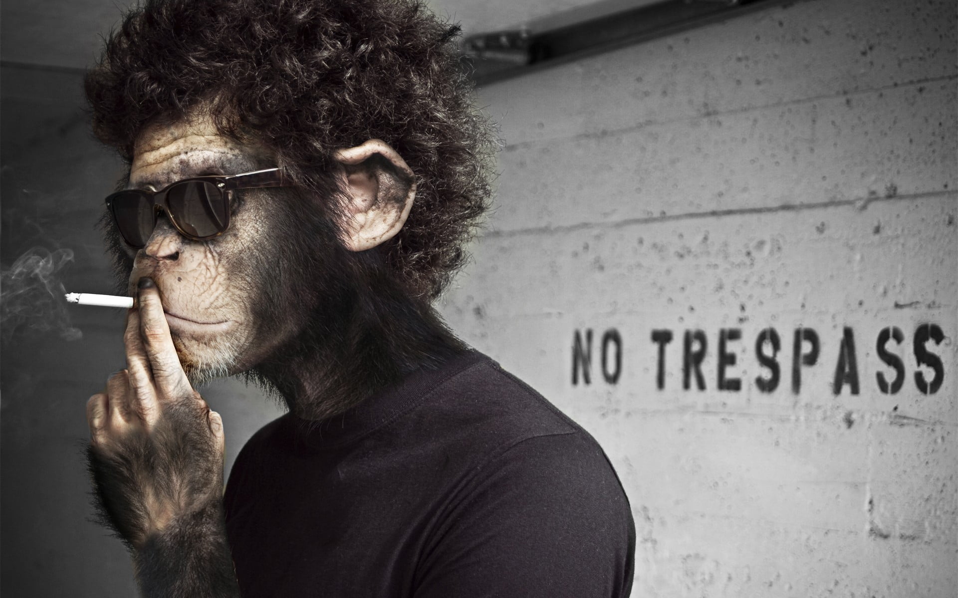 glasses, smoking issues, one person, leisure activity, smoking - activity, apes, bad habit, men, humor, cigarette, hairstyle, social issues, photo manipulation, HD Wallpaper