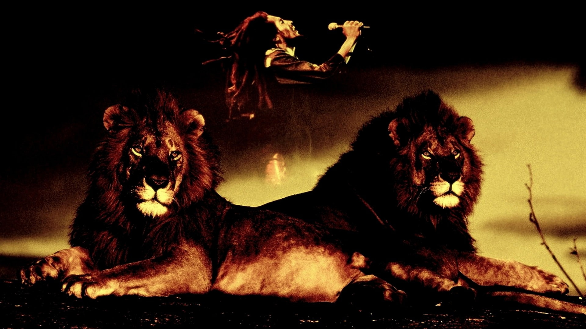 bob, music, reggae, guitarists, 1080P, composer, marley, singers, HD Wallpaper