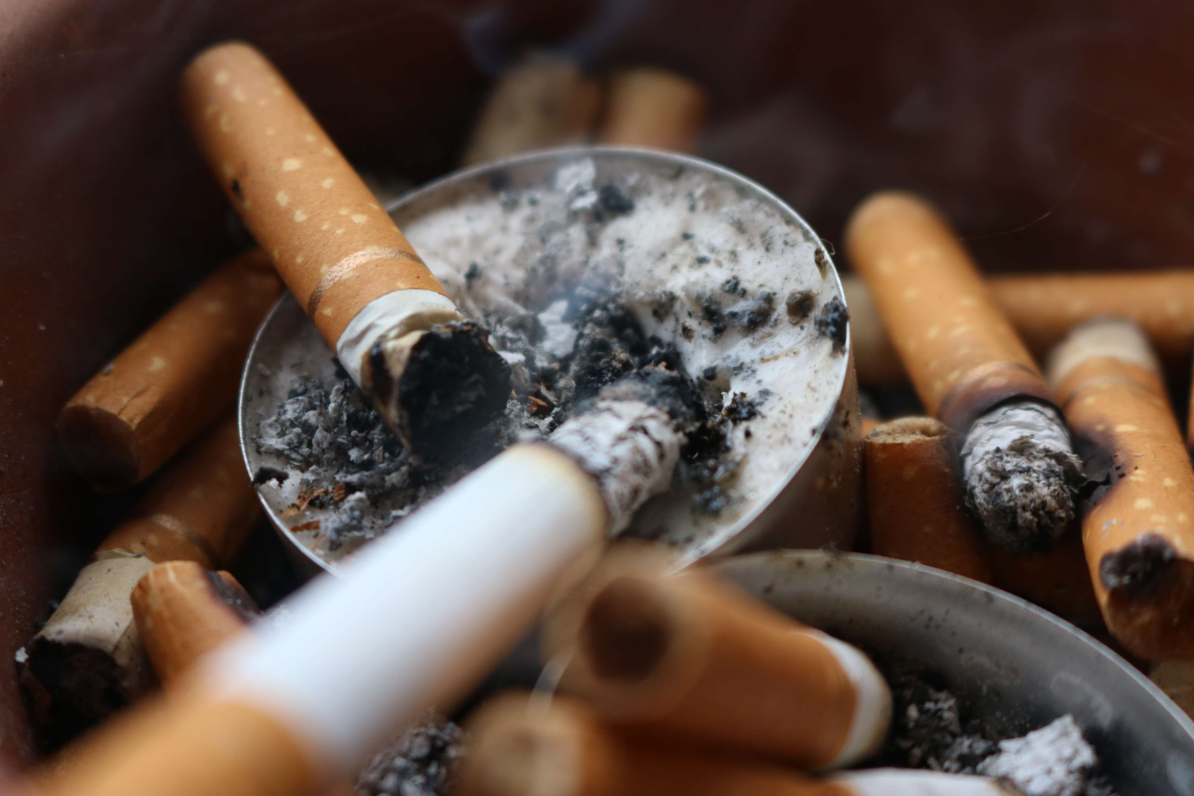 cigarette butt, warning sign, no people, cigarettes, communication, social issues, indoors, 4K, smoking issues, sign, ash, burnt, risk, cigarette, bad habit, HD Wallpaper