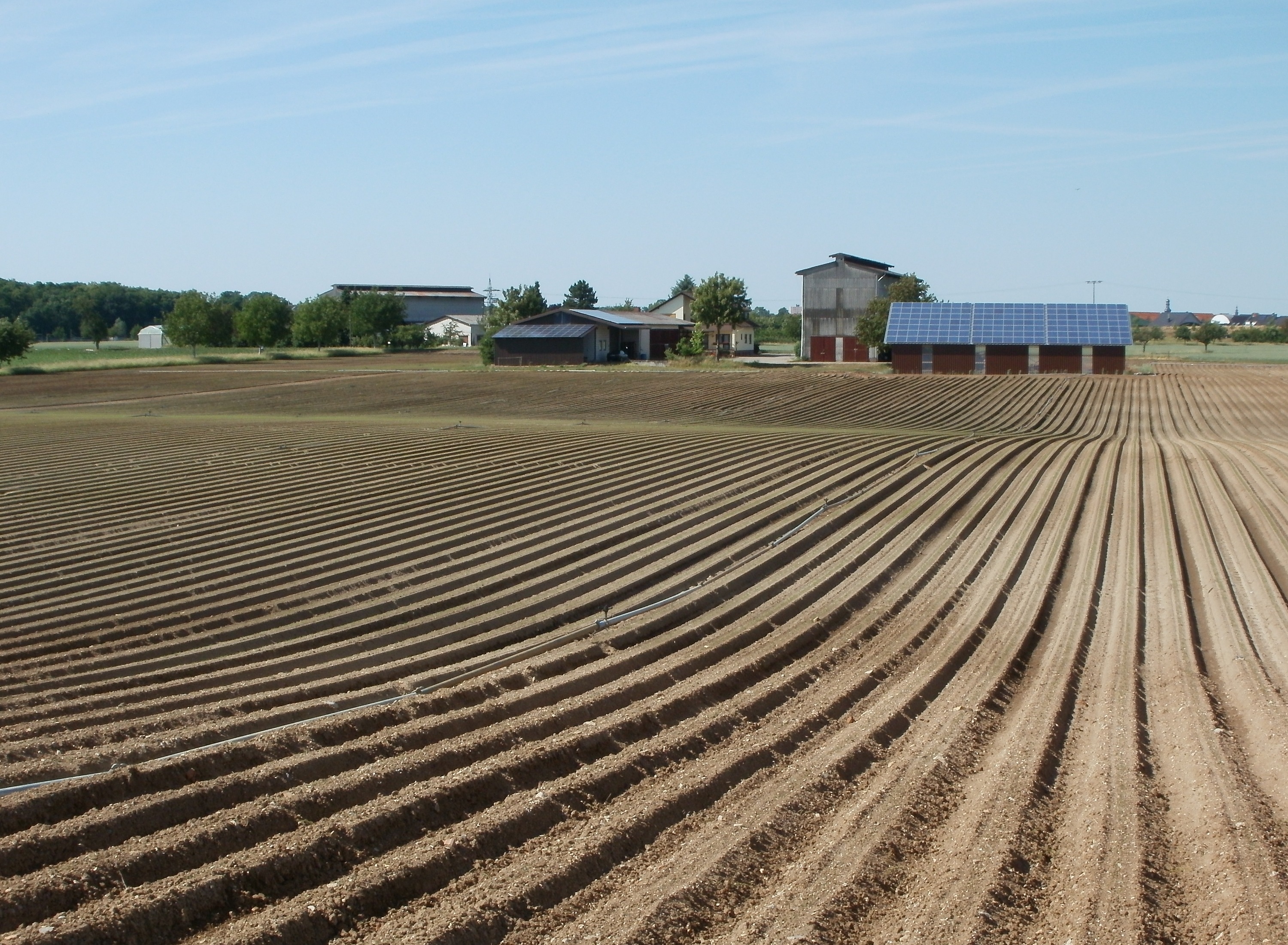 farmland, land, sunlight, building exterior, farm, oftersheim, outdoors, tobacco, plowed field, 2K, countryside, growing, architecture, environment, sky, HD Wallpaper