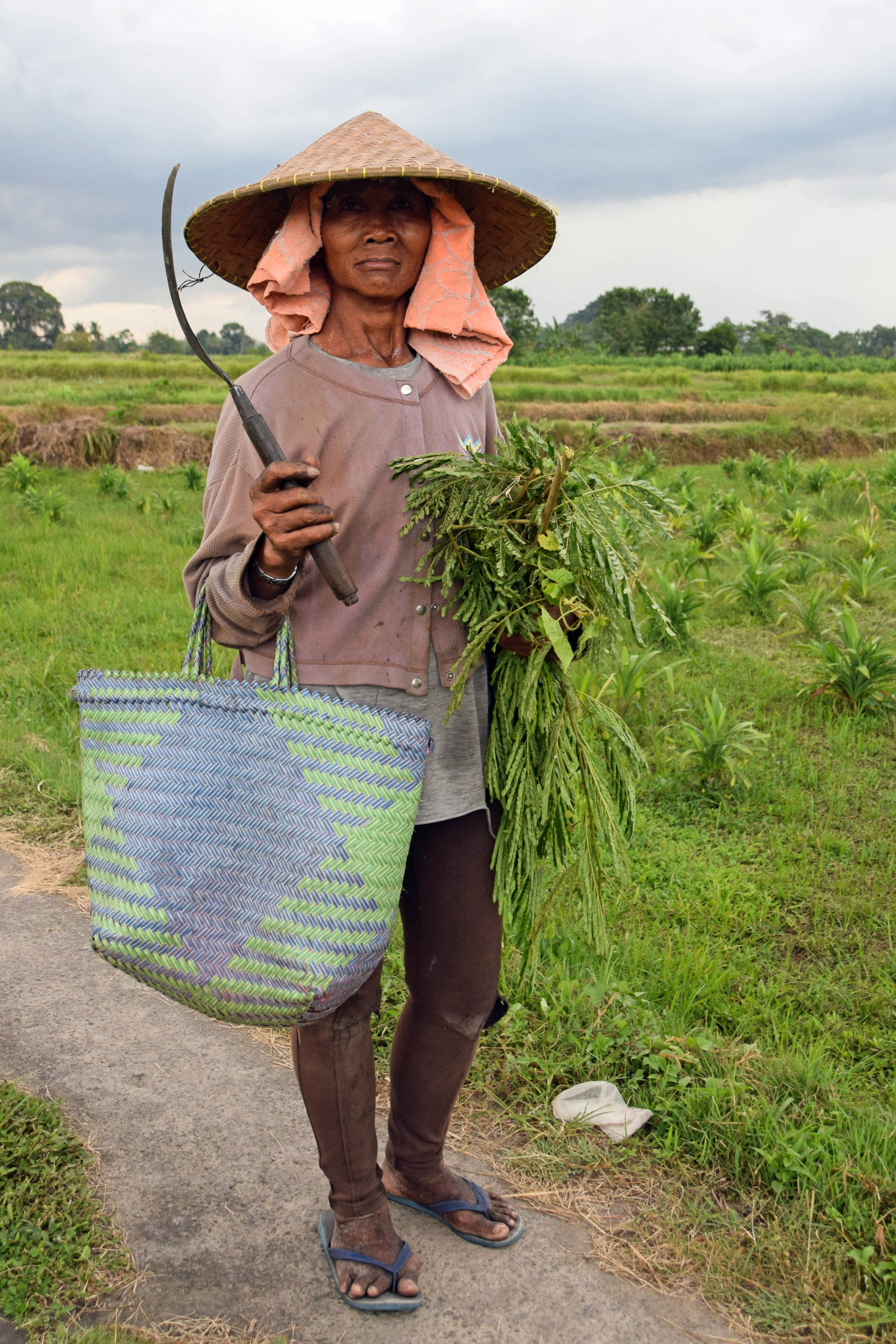 adult, manual Worker, Indonesia, hat, real people, day, full length, men, Travel, one Person, container, Bali, farm, food, women, farmers wife, holding, Phone HD Wallpaper