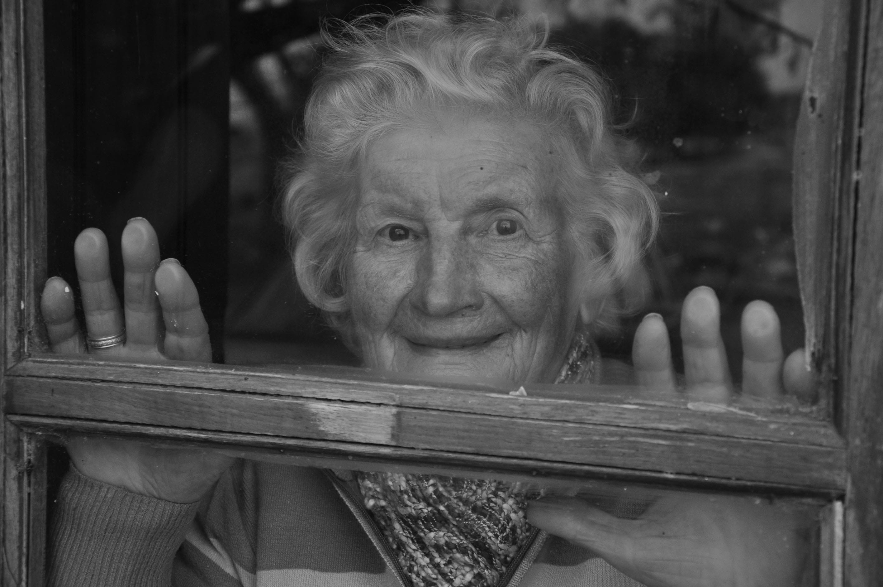 front view, only women, looking At Camera, wood - material, black And White, characters, portrait, senior Adult, one Person, women, caucasian Ethnicity, HD Wallpaper