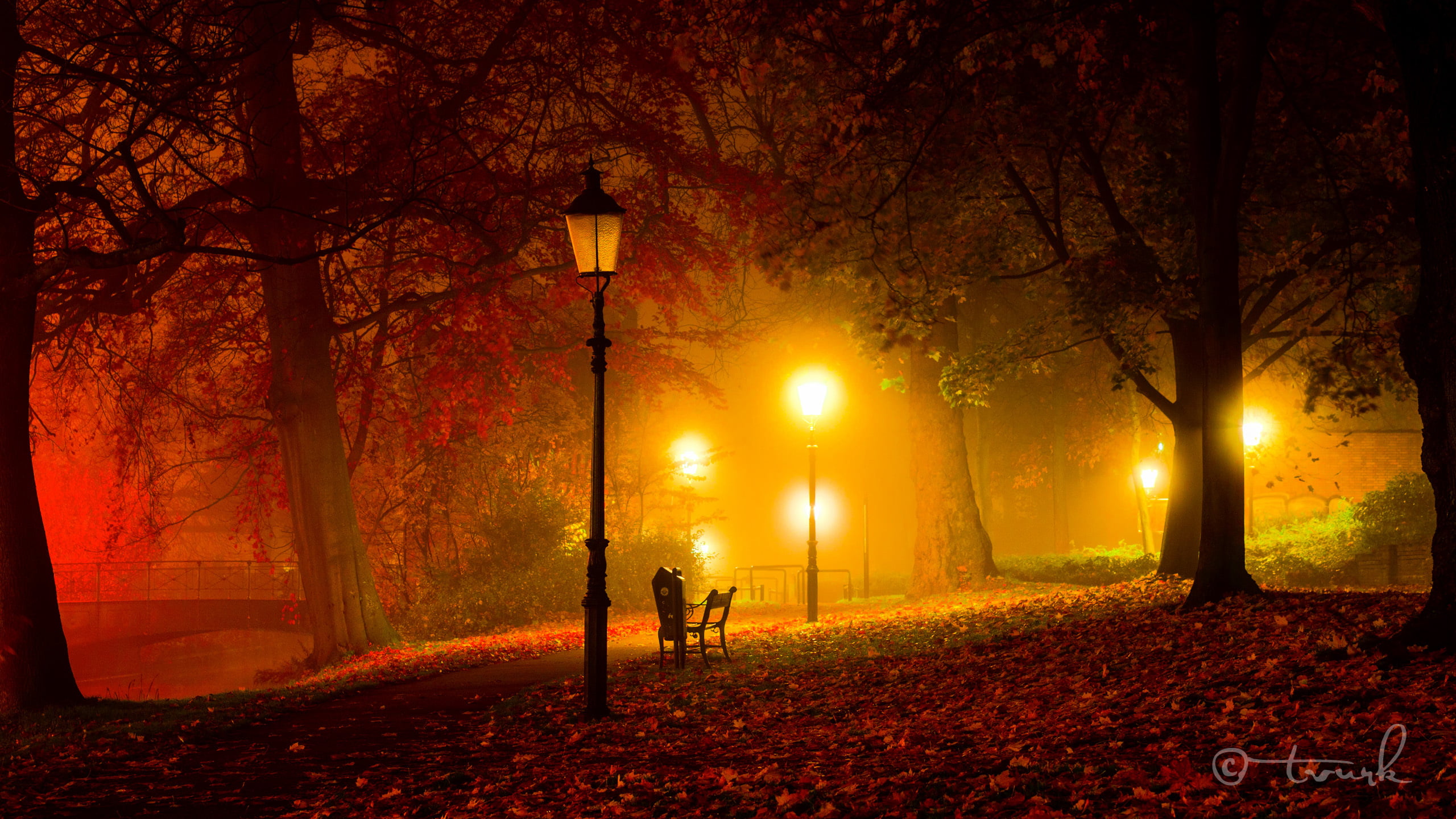 outdoors, bridge, plant, adult, street, fog, people, women, lights, trees, Park, walking, orange Color, sunlight, beauty In Nature, october, orange, land, HD Wallpaper