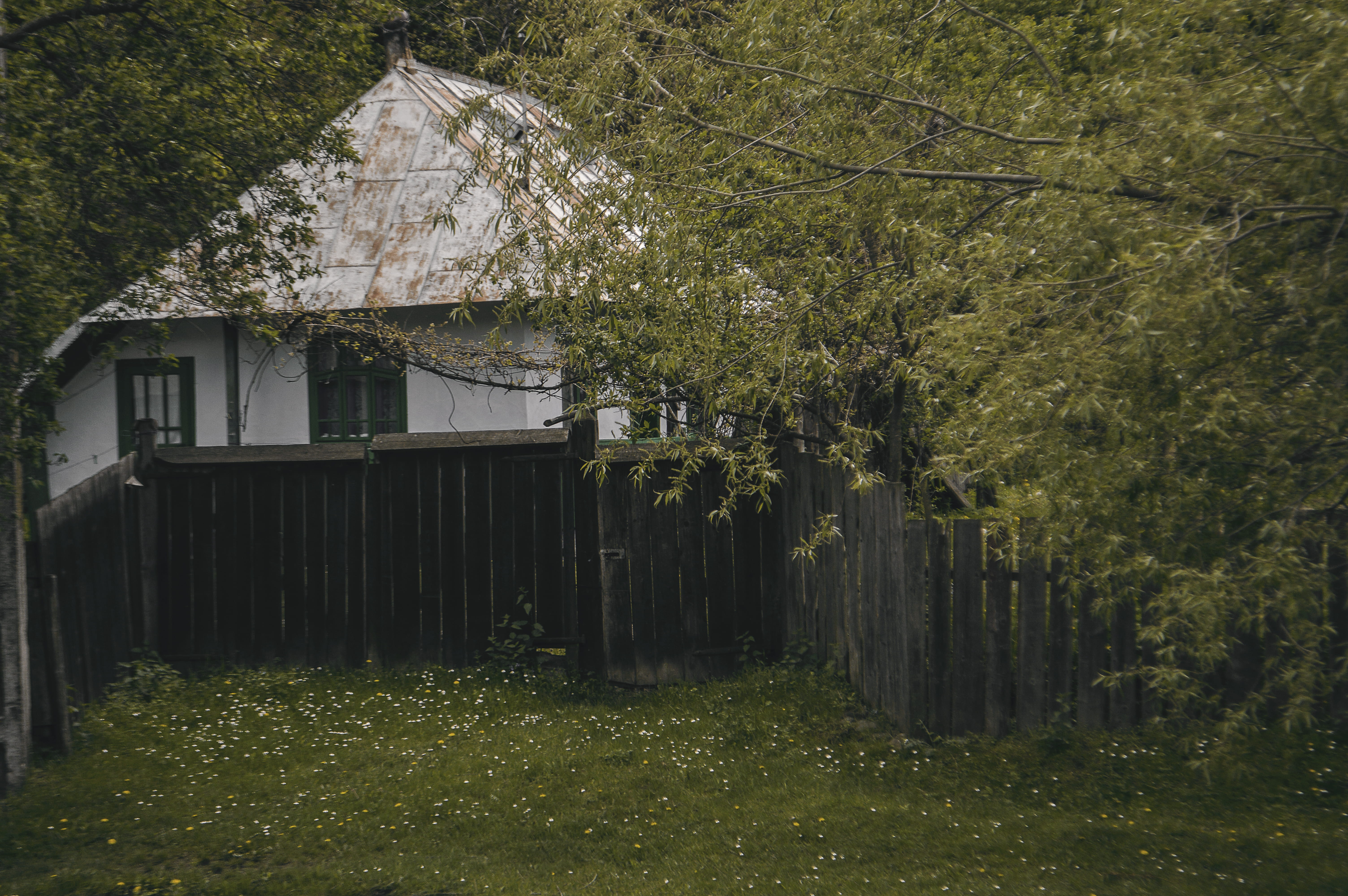 building exterior, nature, village, grandparents, architecture, built structure, păiseni, branch, waterfront, story, water, tree, day, house, forest, grass, HD Wallpaper