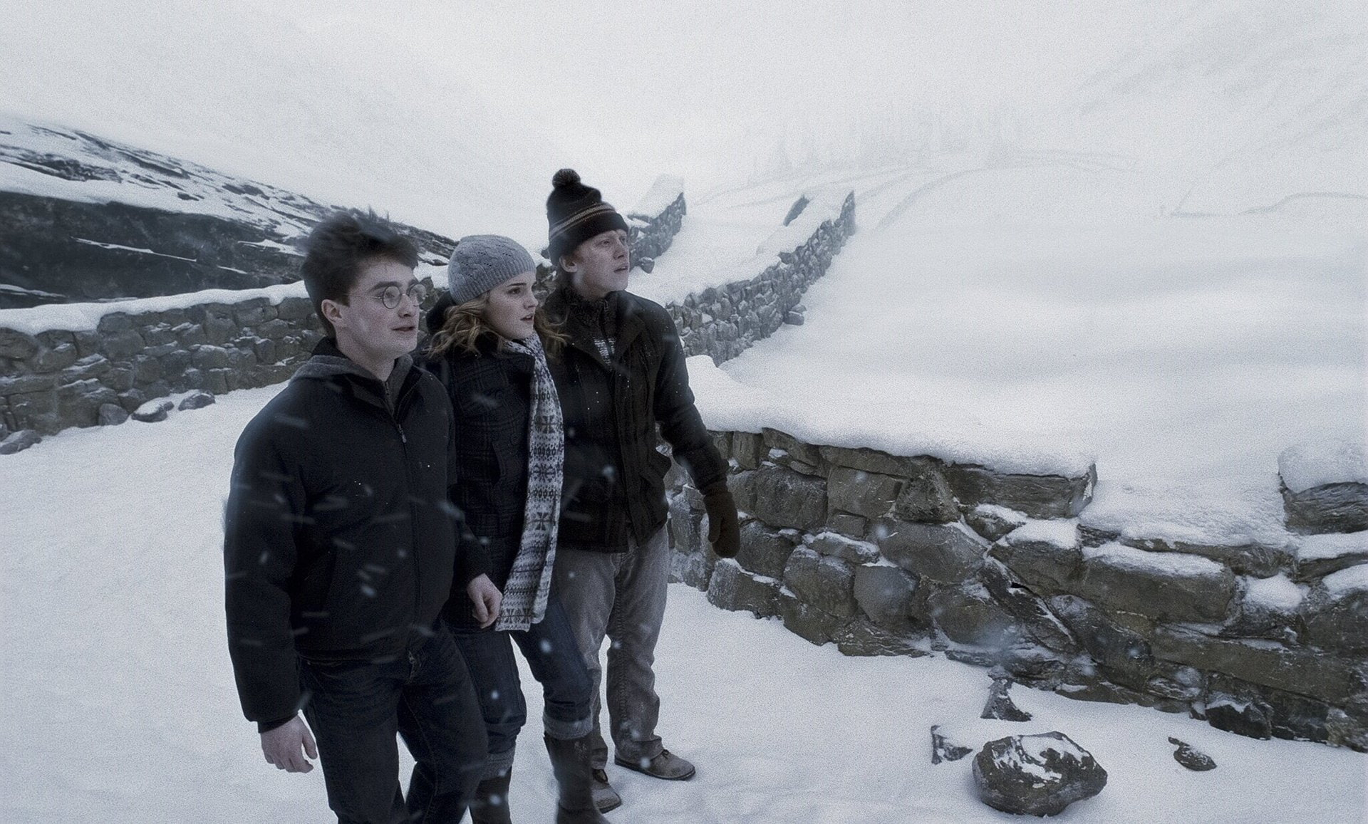 Hermione Granger, 1080P, Ron Weasley, Harry Potter, Harry Potter and the Half-Blood Prince, HD Wallpaper