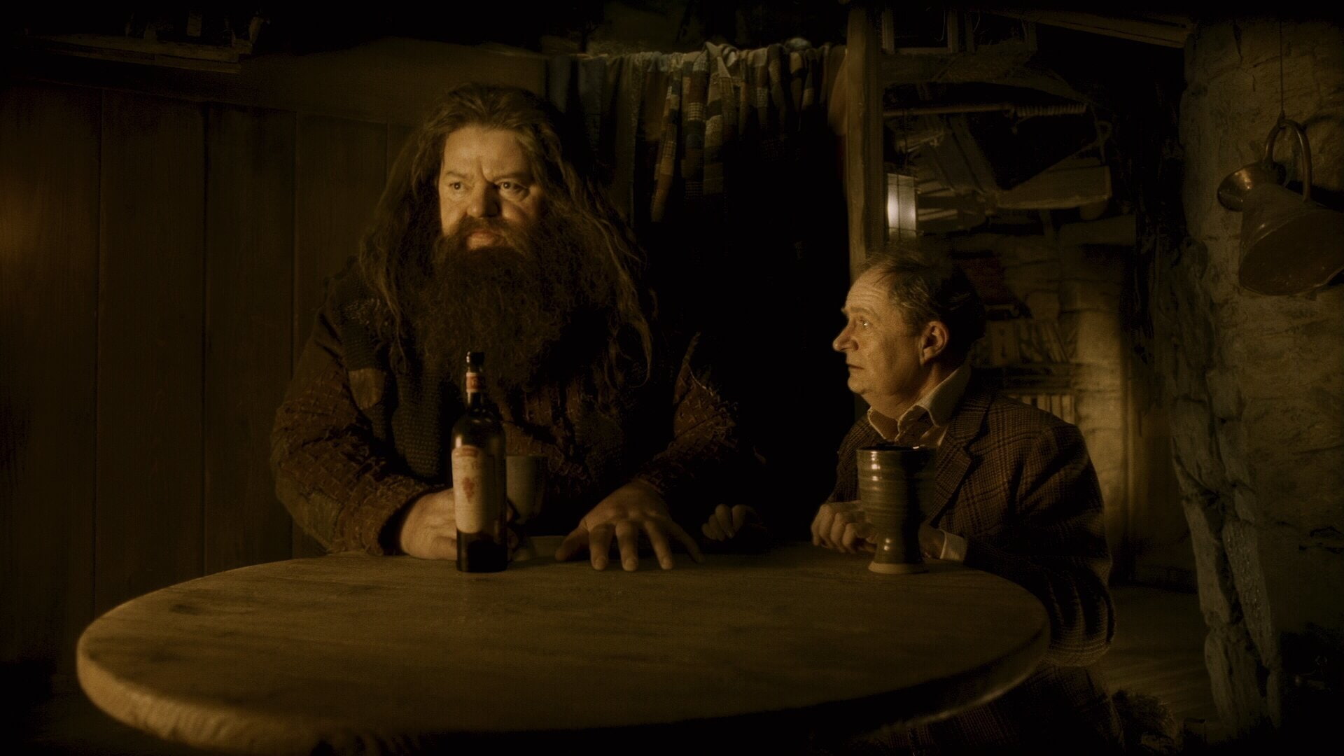 Rubeus Hagrid, 1080P, Harry Potter, Harry Potter and the Half-Blood Prince, Horace Slughorn, HD Wallpaper