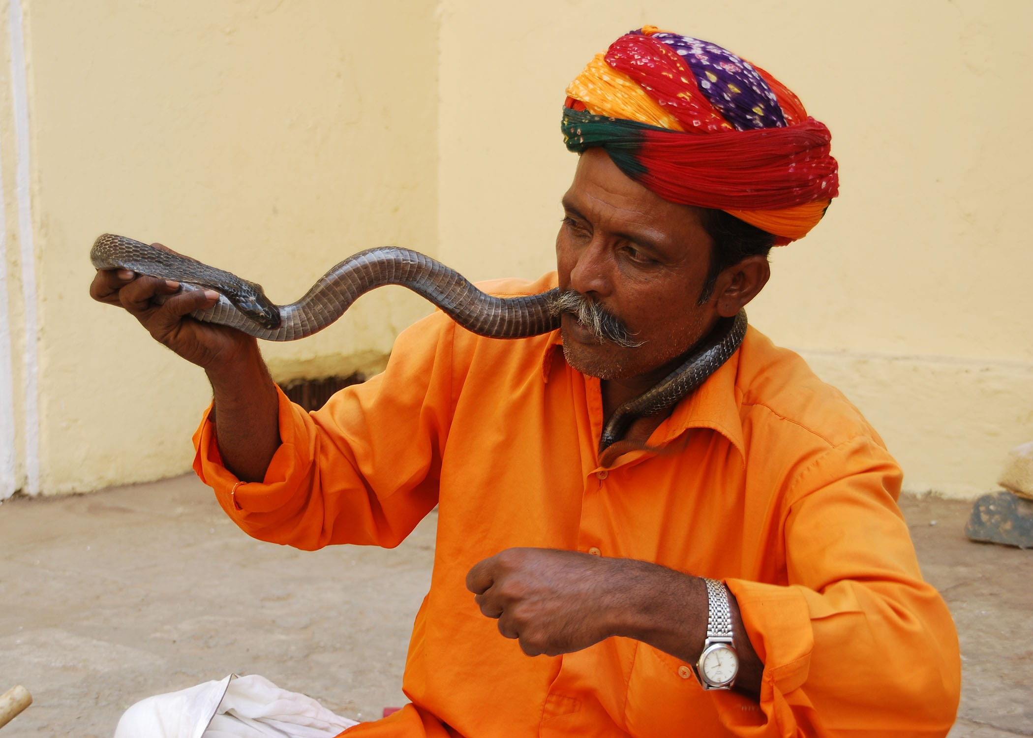 adult, musical instrument, holding, clothing, amer fort jaipur tour, travels, turban, senior adult, males, mustache, orange color, 1080P, real people, HD Wallpaper