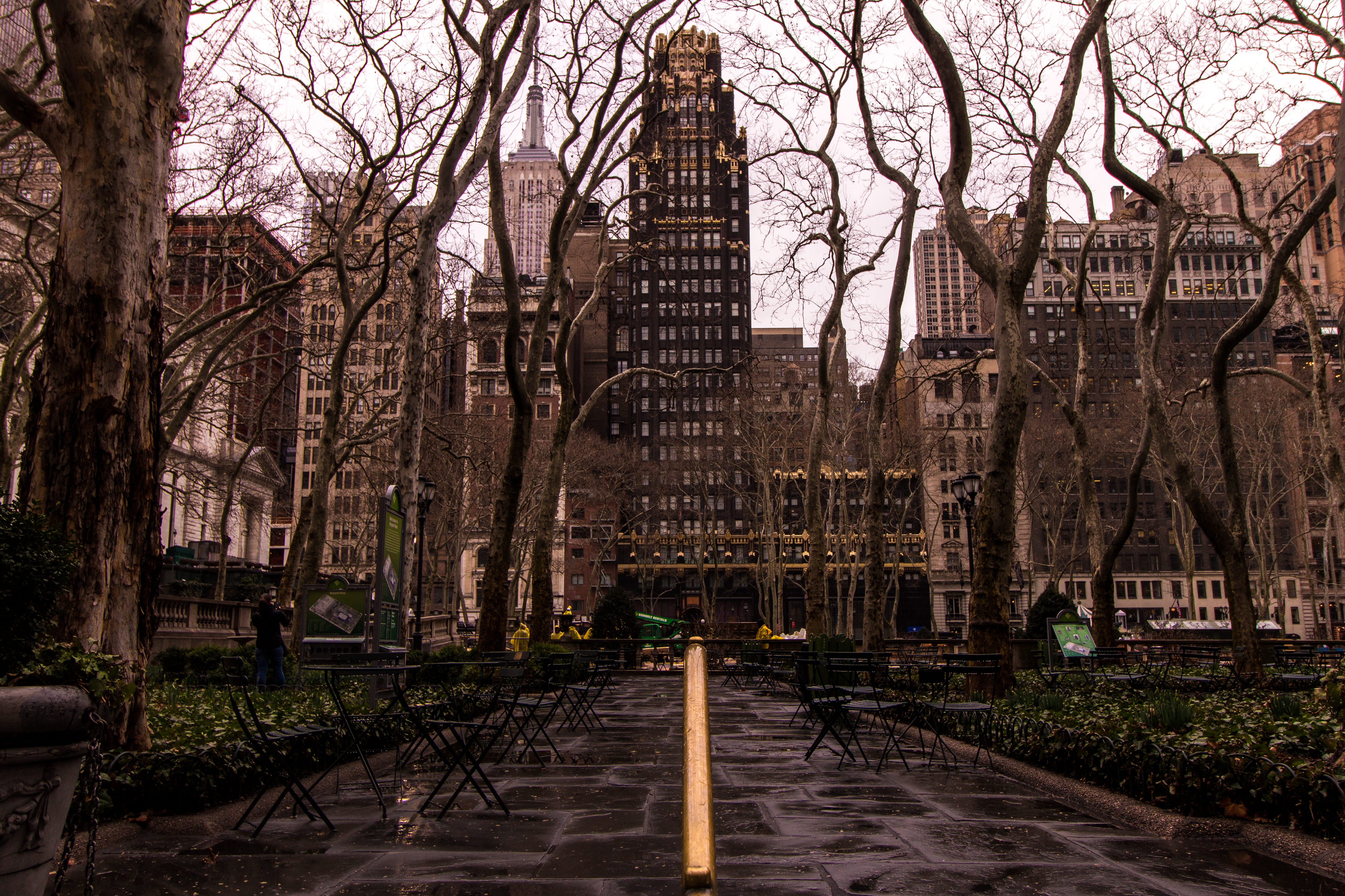 mody, puddles, travel destinations, building, tower, branch, gold, wet, skyscraper, city, black, sad, tree, direction, office building exterior, railing, HD Wallpaper