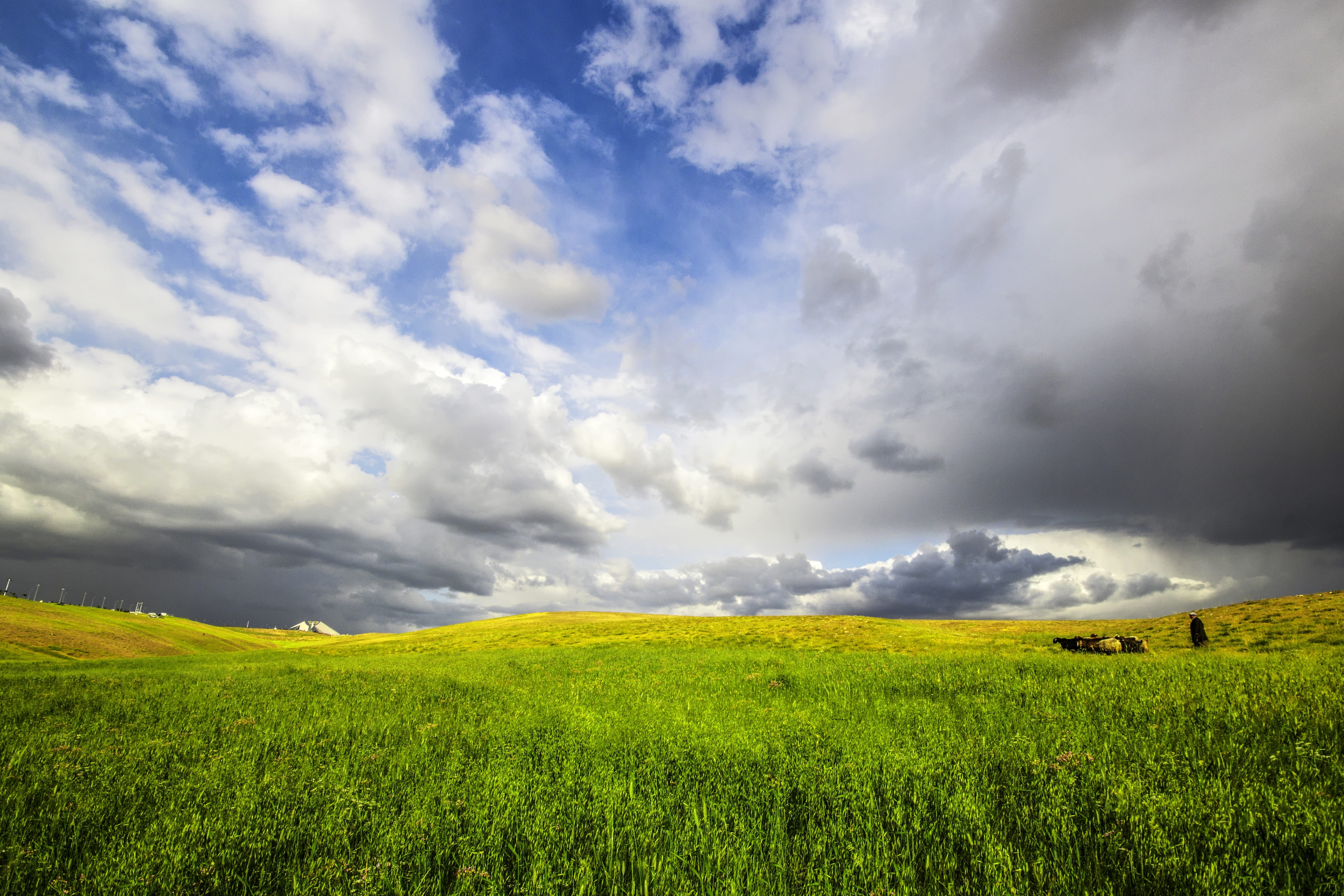 tranquility, no people, nature, 4K, tranquil scene, cloud - sky, spring, landscape, beauty in nature, outdoors, land, storm, green, environment, green color, HD Wallpaper