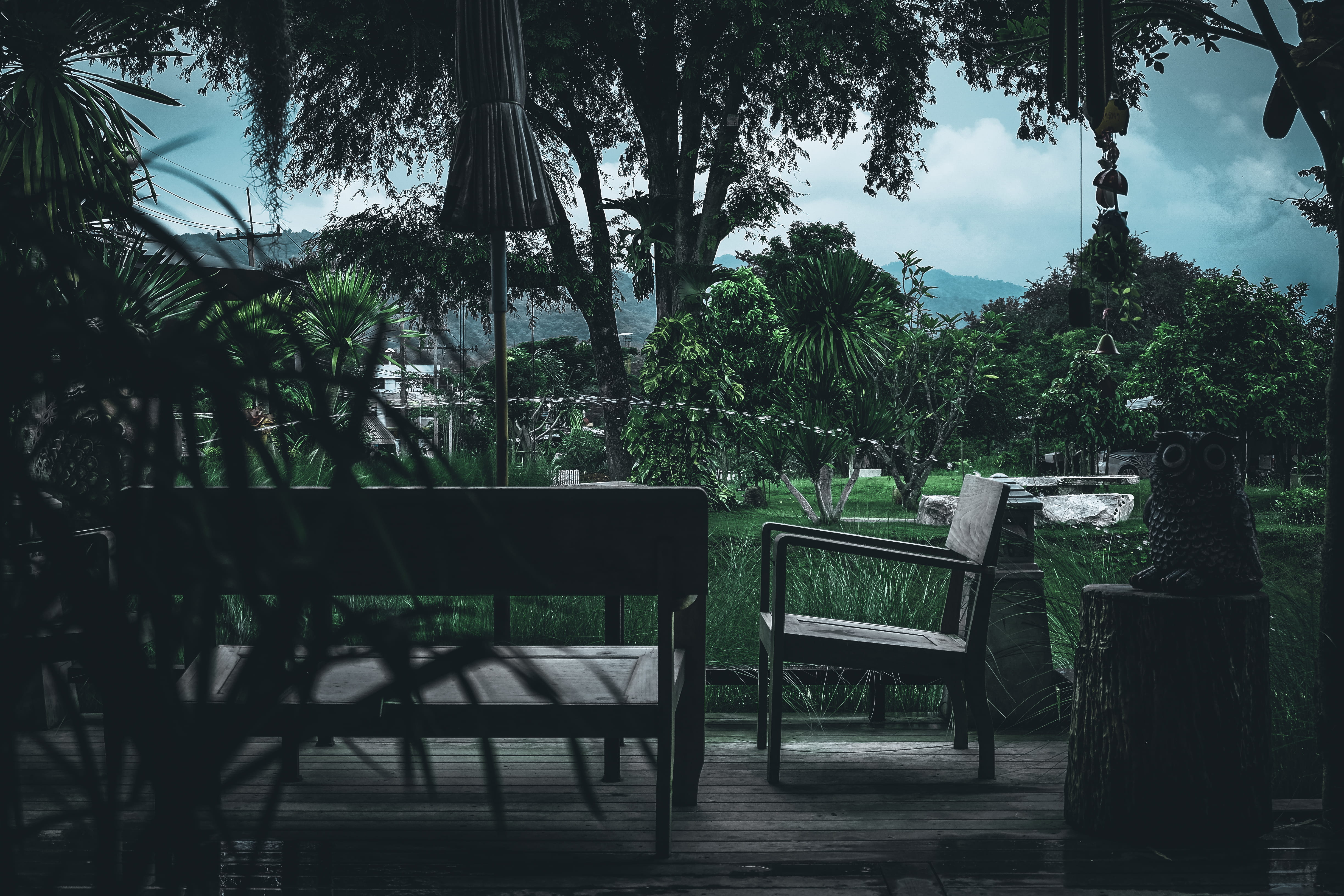 wood - material, coffee, thailand, nature, relax, relaxation, laptop, day, beauty, trunk, resting, pak chong, tropical climate, park, sitting, female, home, HD Wallpaper