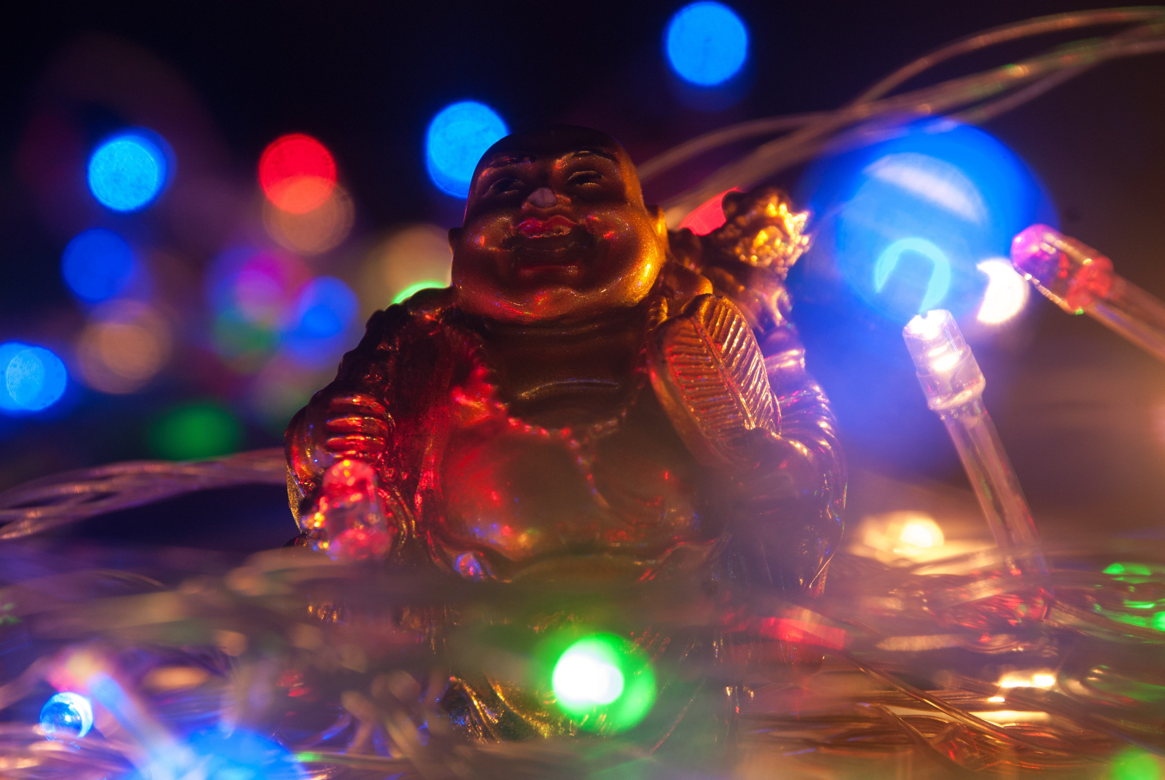 front view, illuminated, shiny, one person, emotion, mature adult, happiness, happy, lights, smiling, waist up, adult, celebration, human limb, fun, night, HD Wallpaper
