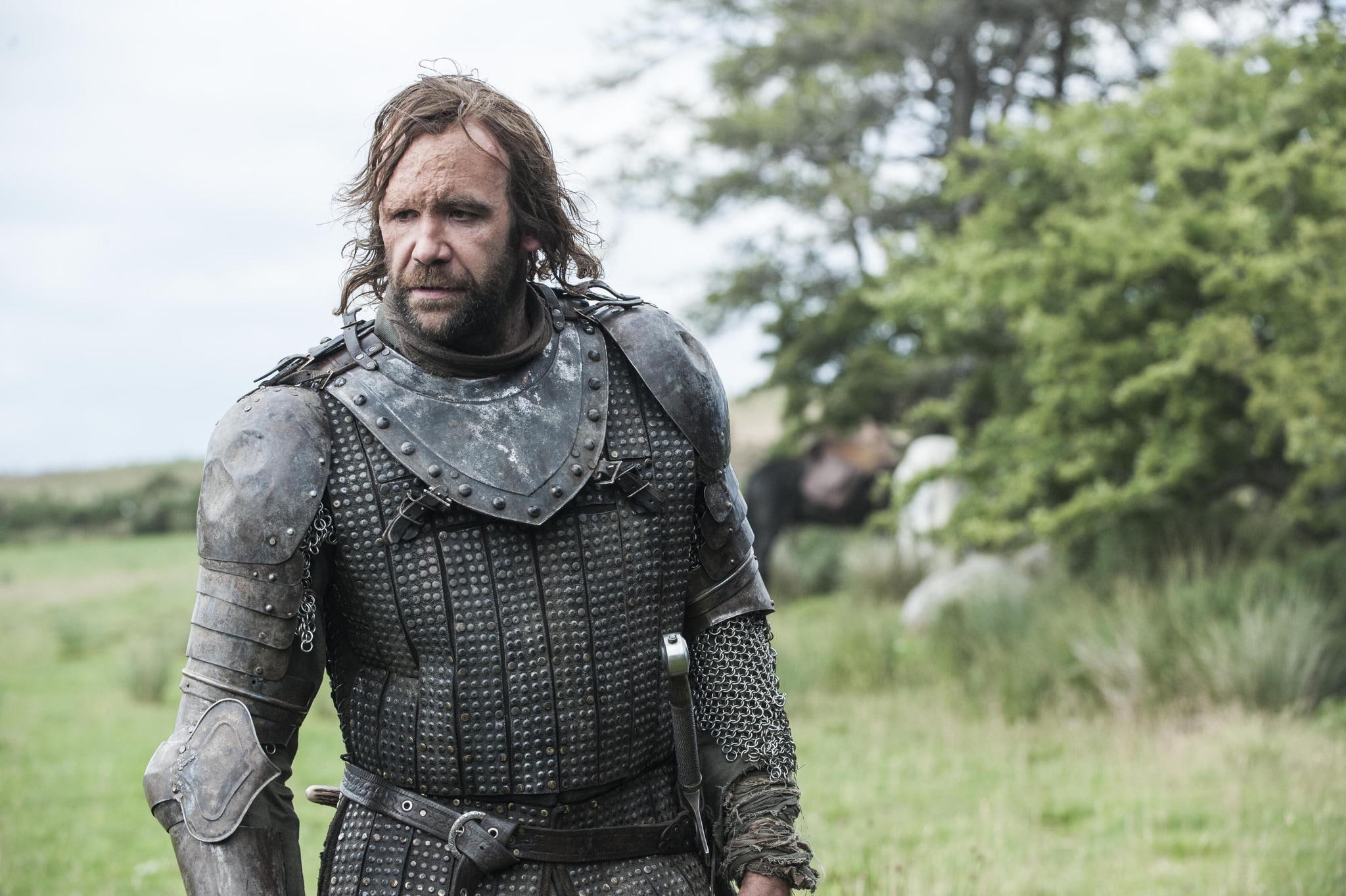 Sandor Clegane, dog, The Hound, Game of Thrones, armor, 1080P, nature, warrior, HD Wallpaper