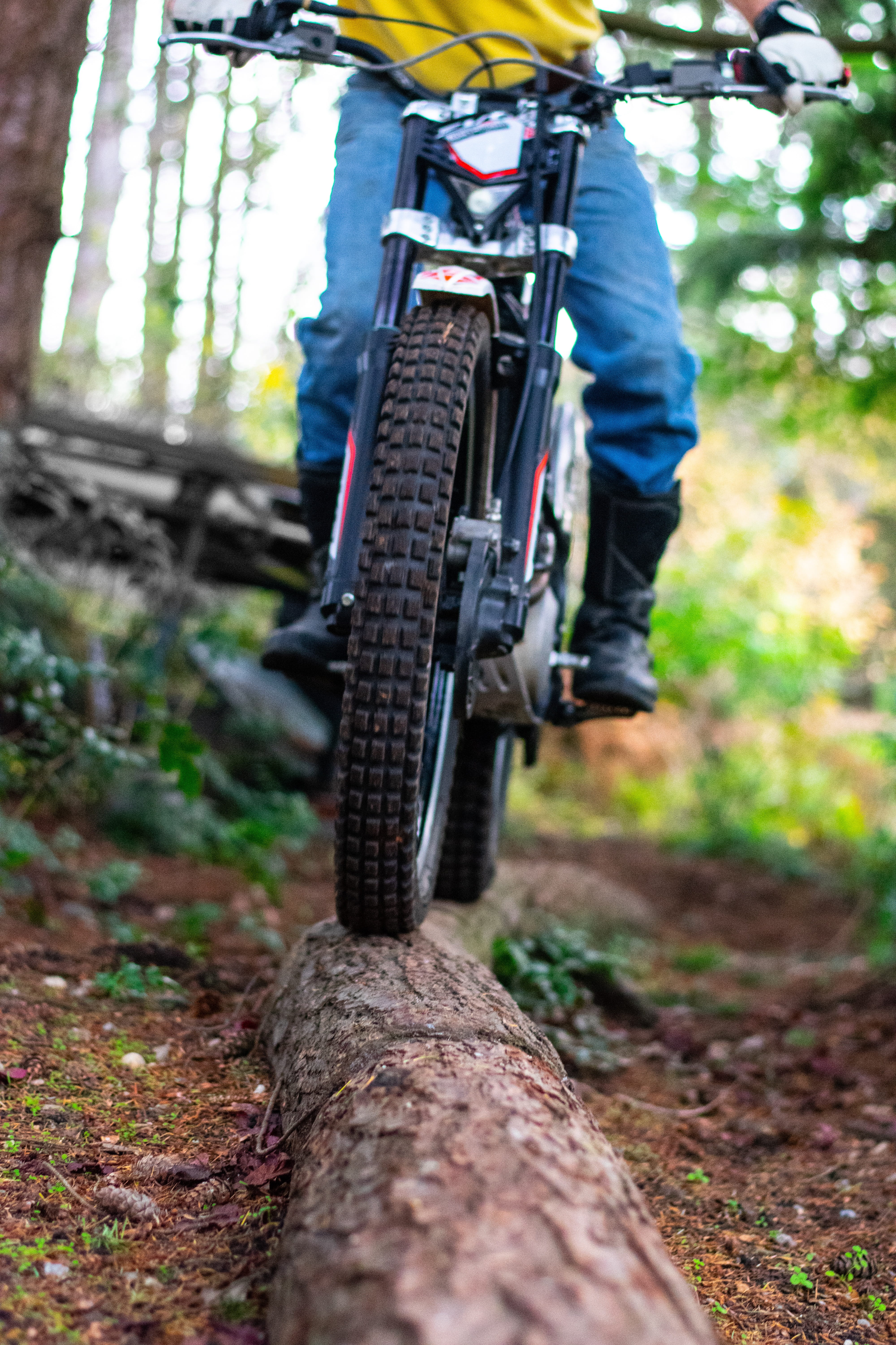 wood, 5K, land, tires, trunk, person, ride, outdoors, race, narrow, balance, course, wheel, focus on foreground, transportation, bike, mode of transportation, Phone HD Wallpaper