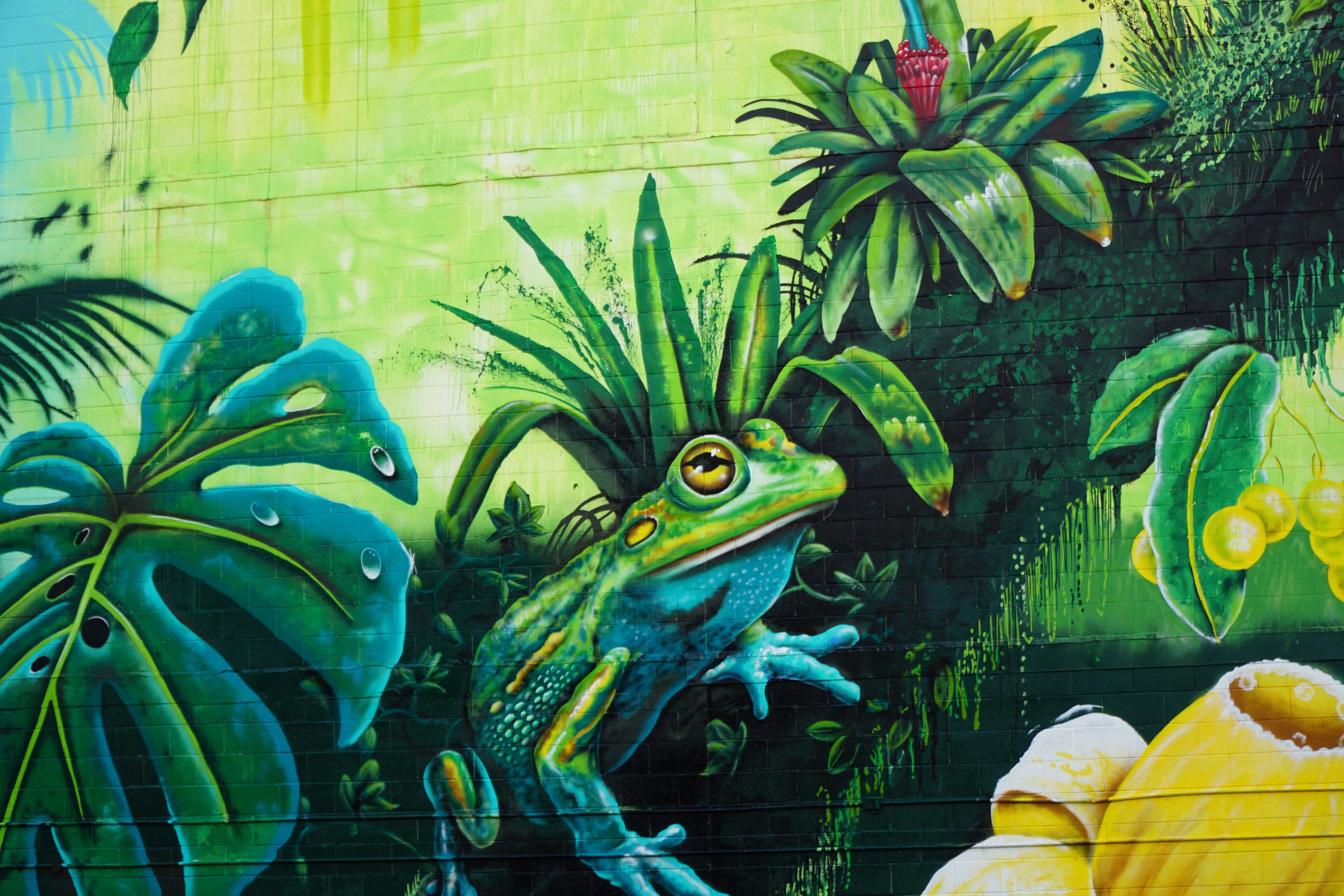 art, green color, representation, darwin, streetart, 5K, animal representation, transparent, animals in captivity, leaf, growth, outdoors, painting, art and craft, HD Wallpaper