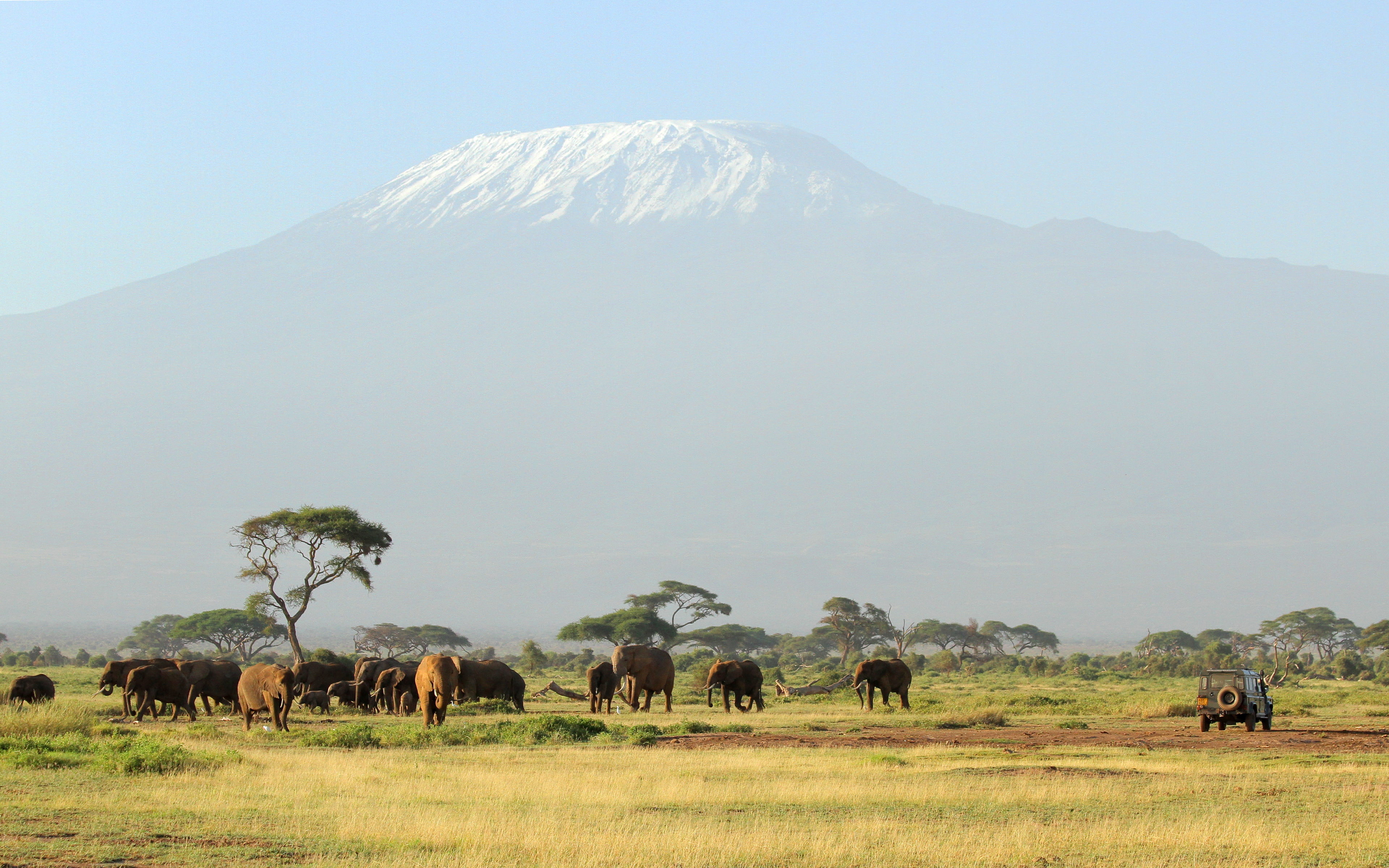 mountain, vertebrate, safari, mountains, scenics - nature, outdoors, beauty in nature, sky, animal themes, 4K, animal wildlife, group of animals, environment, HD Wallpaper