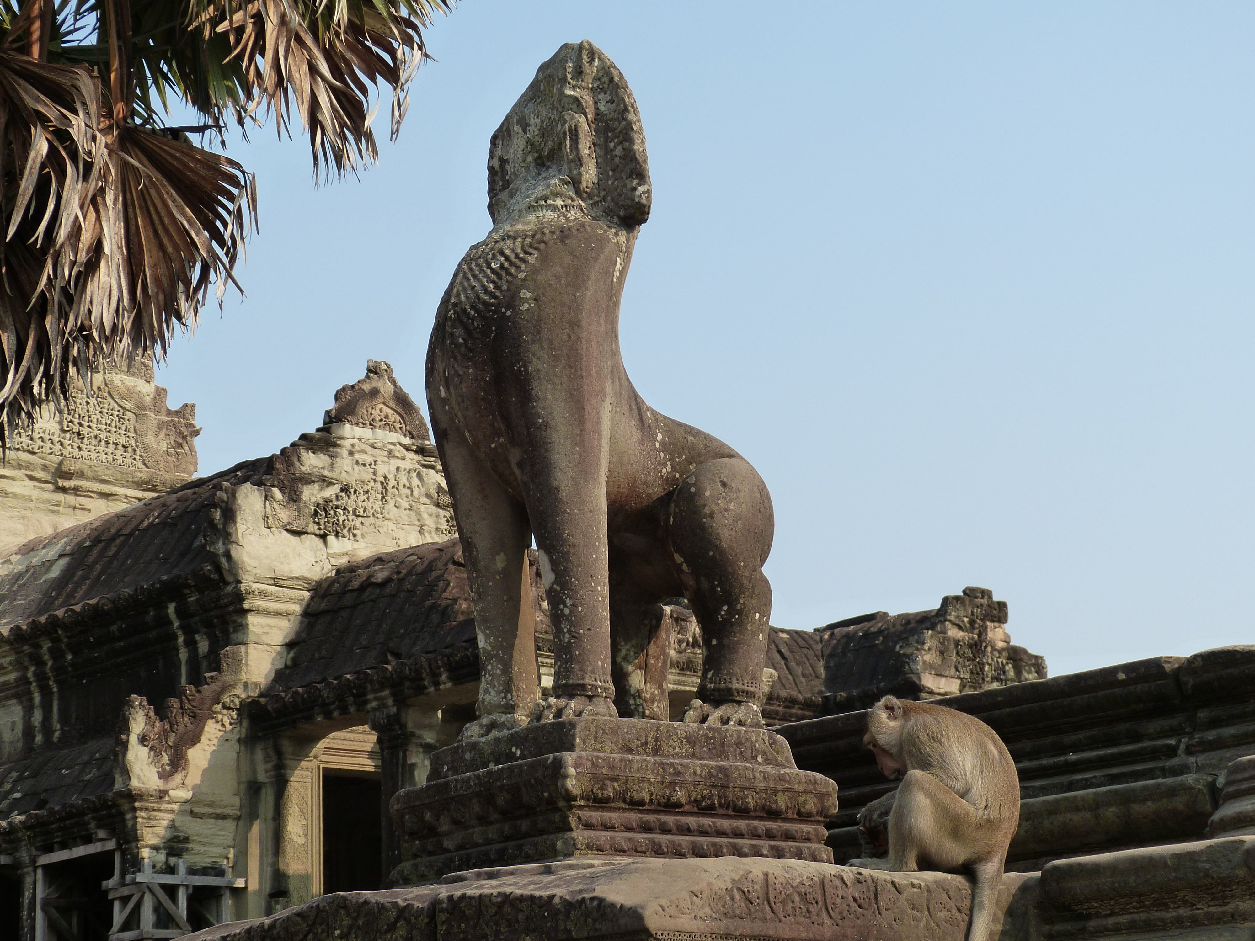 unesco, the past, built structure, siem reap, craft, monkey, cultures, art and craft, temple complex, temple - Building, asia, spirituality, cambodia, representation, HD Wallpaper