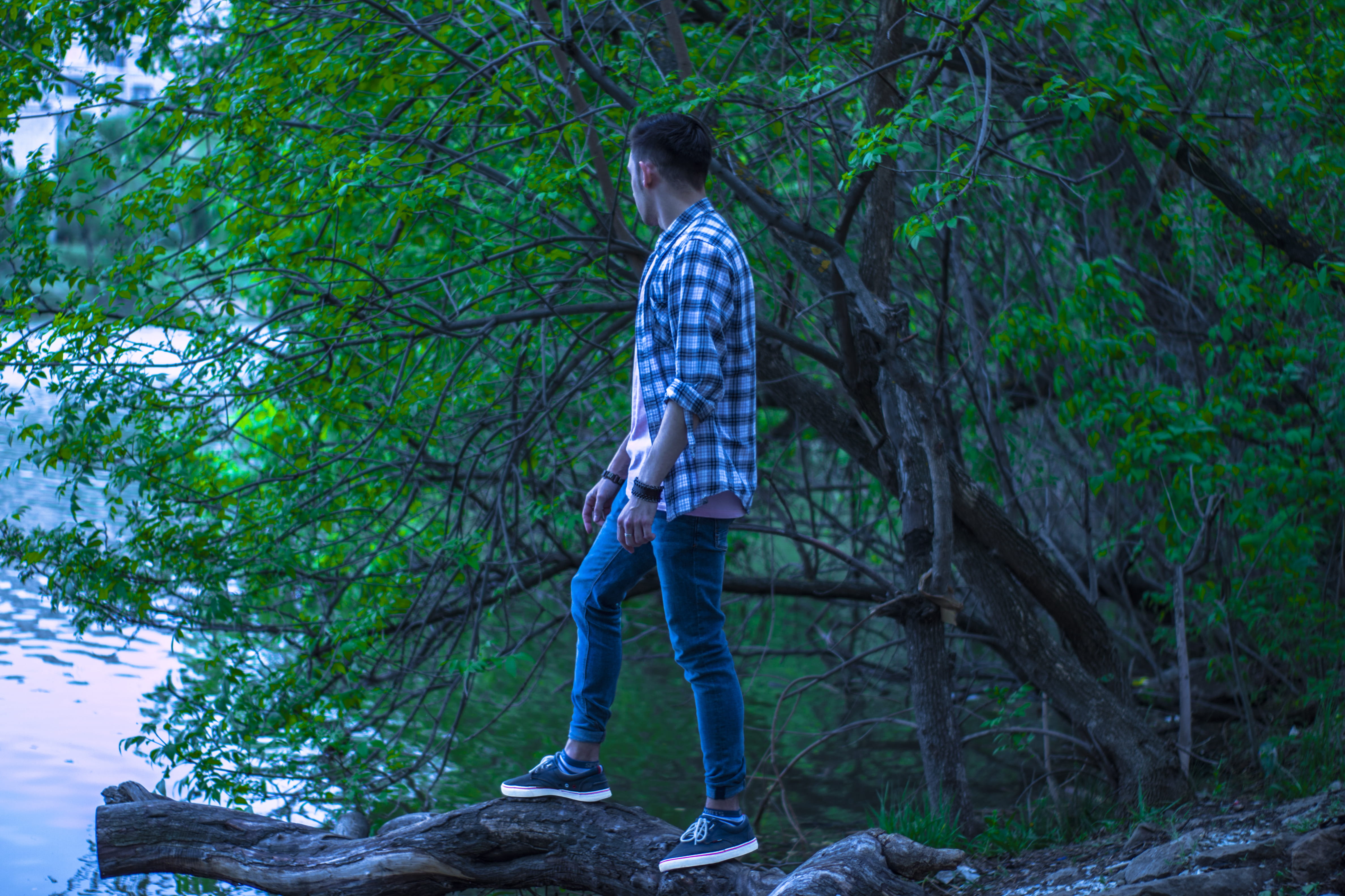 wood, green color, men, 4K, forest, child, photoshoot, tree, man, leisure activity, one person, land, plant, blue, back view, full length, young, green, HD Wallpaper