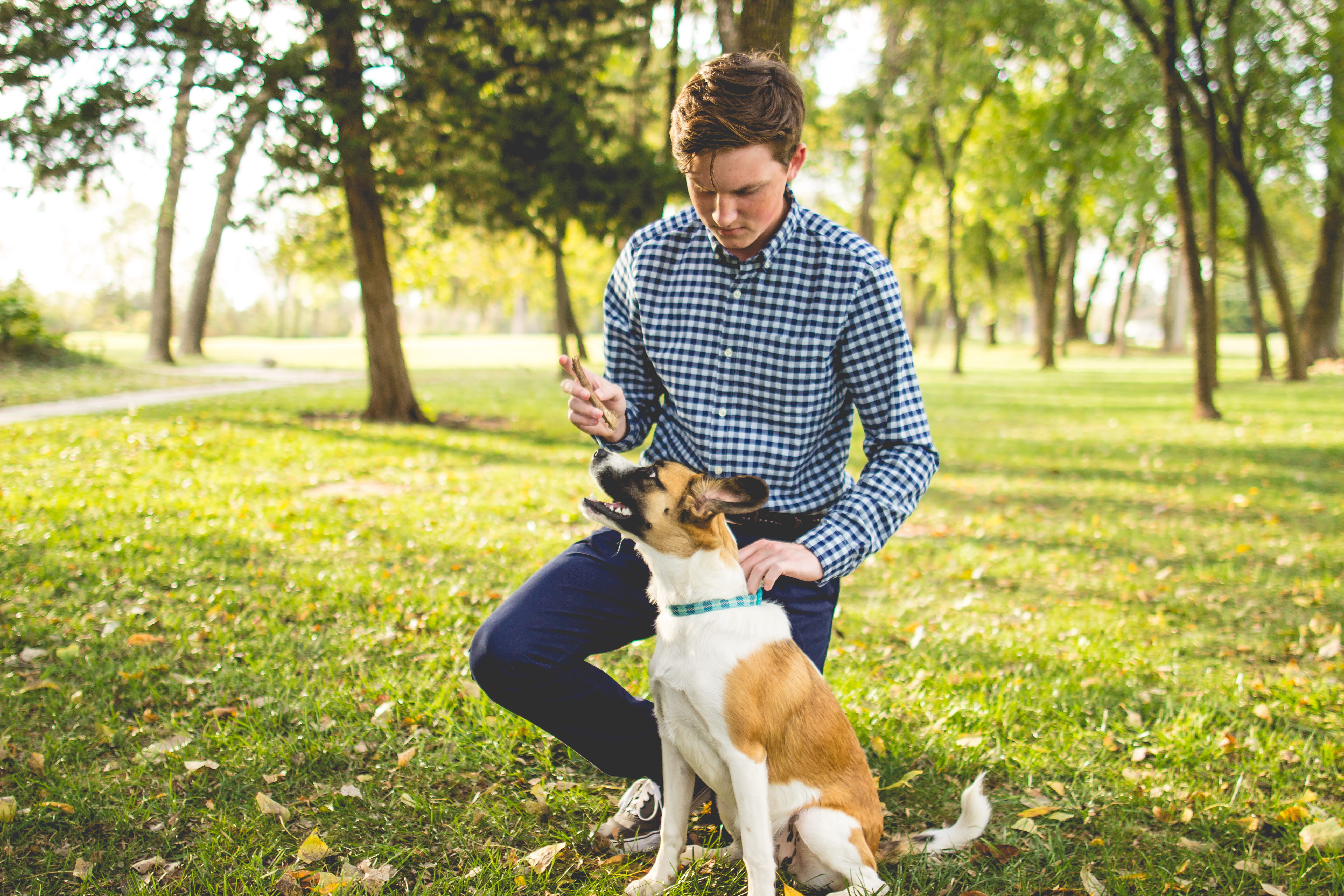 people, outdoors, human, dog, domestic, men, plant, beagle, one animal, golden hour, pup, grass, tree, blue, shirt, animal, young adult, domestic animals, HD Wallpaper