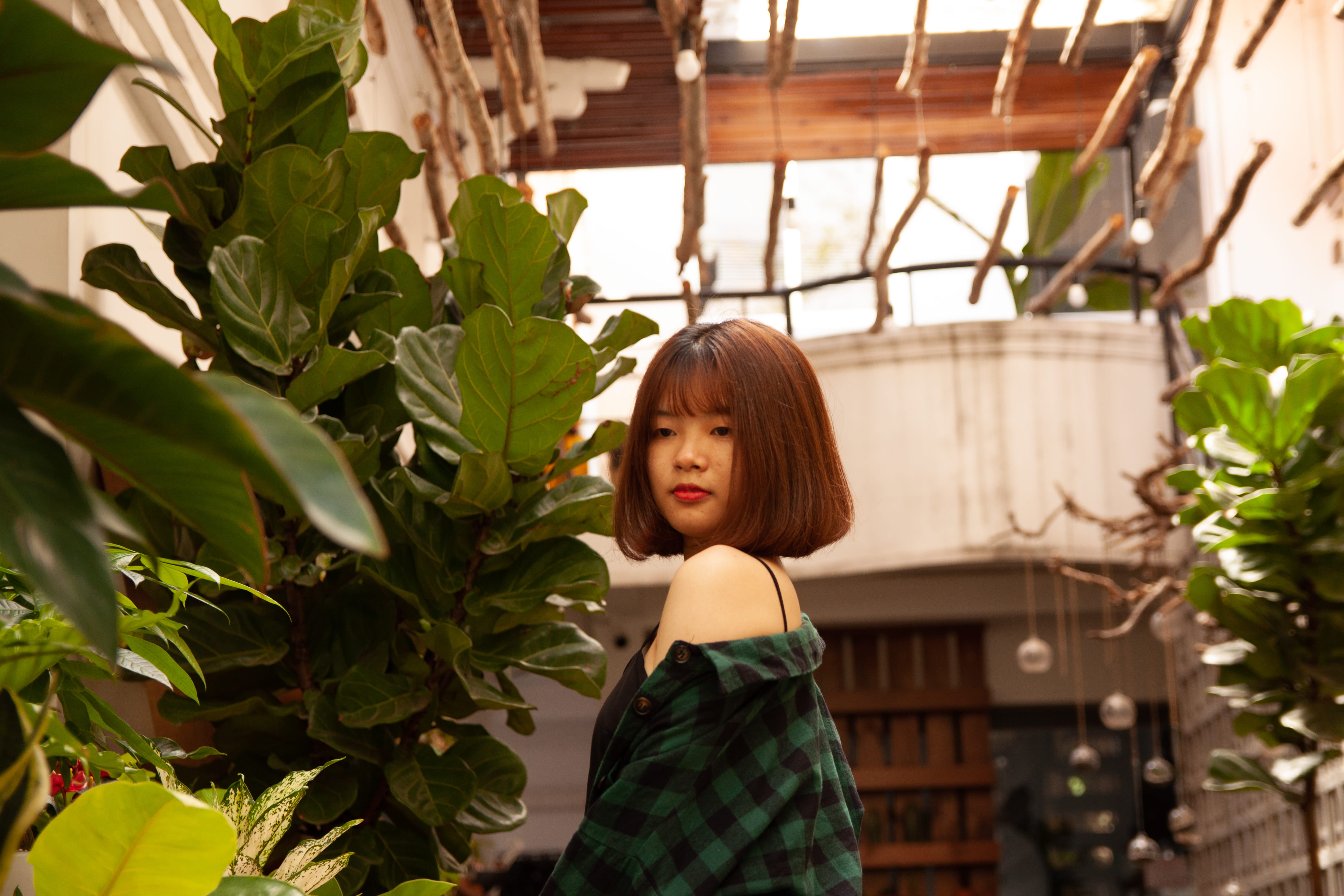 4K, leaf, women, contemplation, nature, beauty, standing, garden, hairstyle, young women, leisure activity, plant, beautiful woman, shirt, portrait, side view, HD Wallpaper