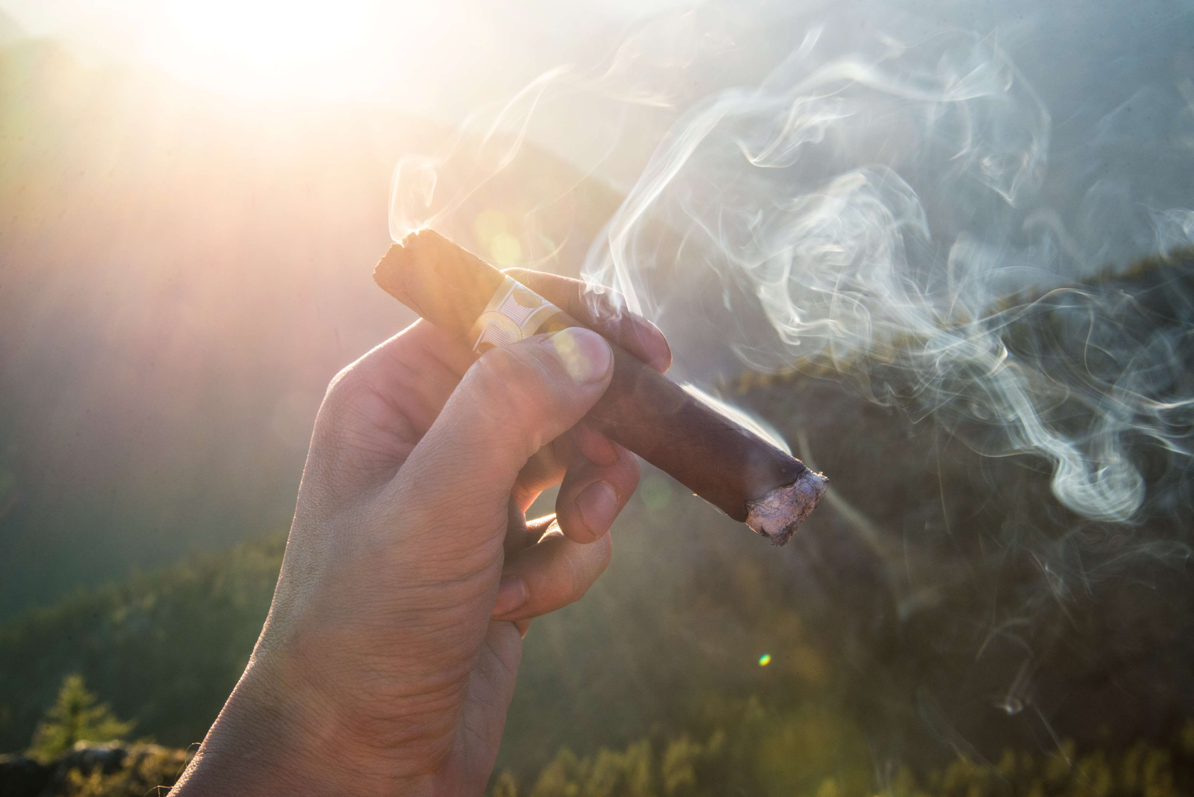 smoking issues, focus on foreground, social issues, 4K, human hand, day, smoke - physical structure, holding, cigarette, smoking, outdoors, sunlight, smoking - activity, HD Wallpaper