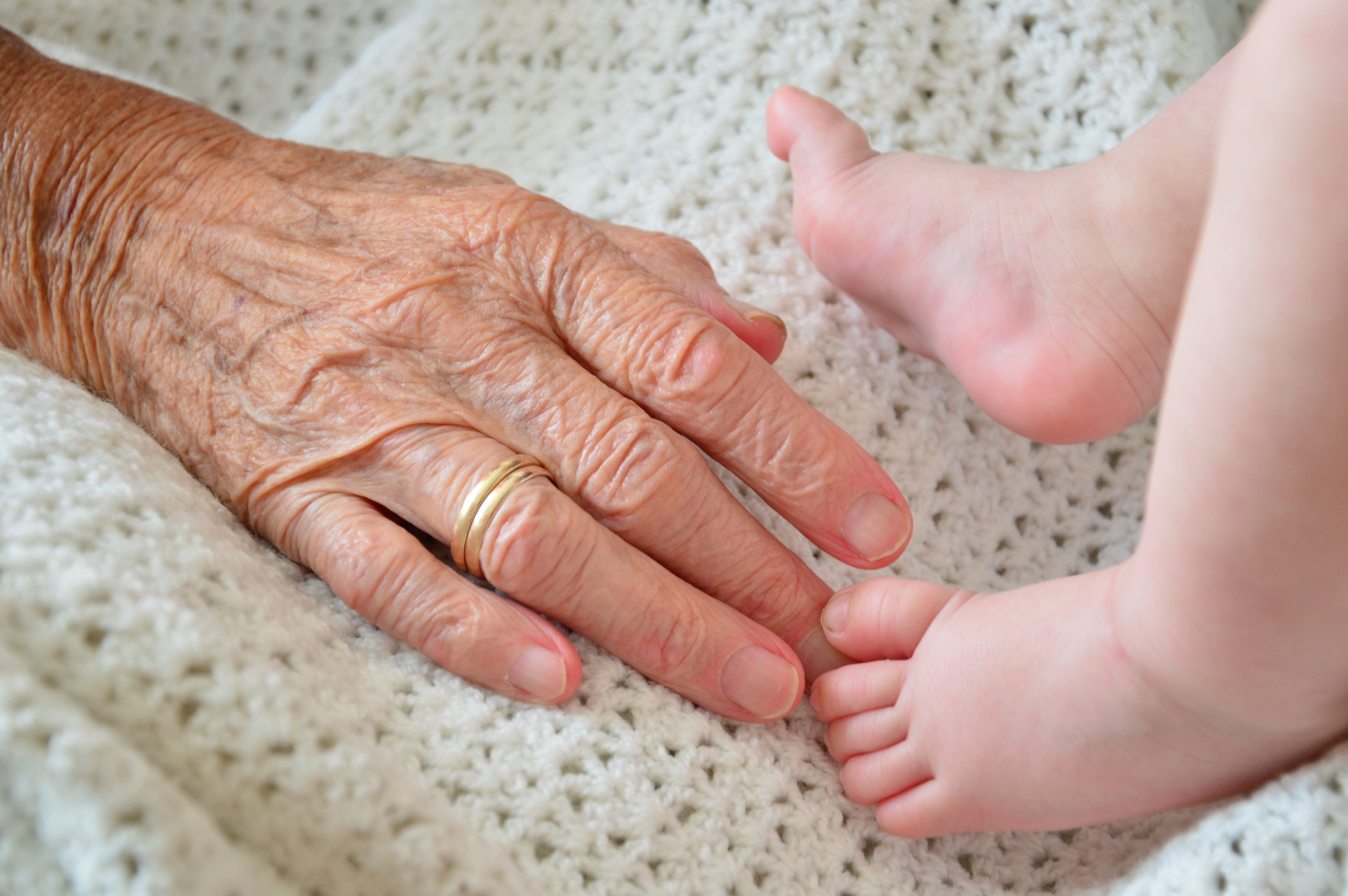 togetherness, finger, adult, love, generation, young, daughter, family, baby, grandma, women, human body part, grandson, child, grandmother, human finger, HD Wallpaper