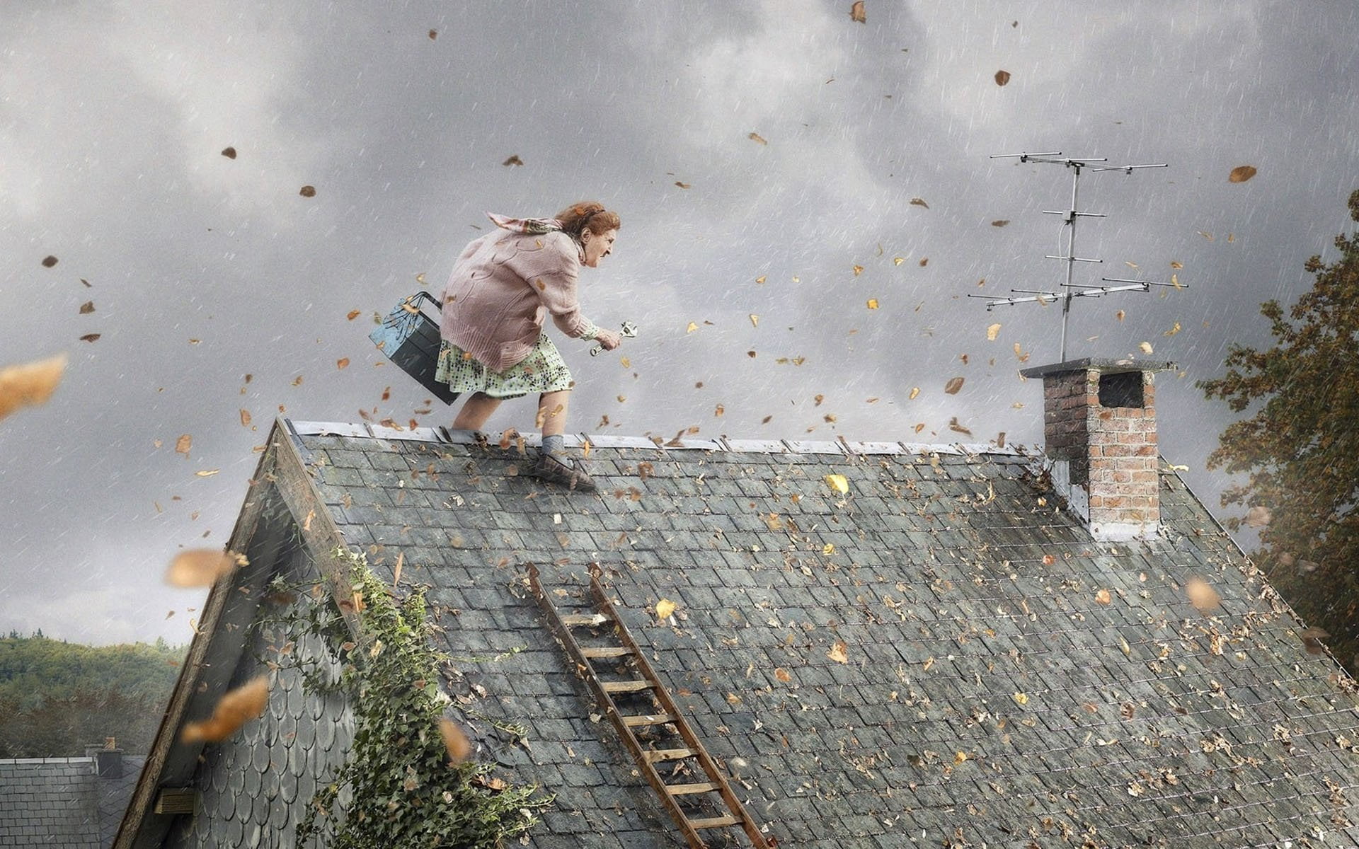 child, the wind, standing, tool, built structure, painting, men, day, leaves, grandma, cloud - sky, lifestyles, childhood, outdoors, 1080P, walking, real people, HD Wallpaper