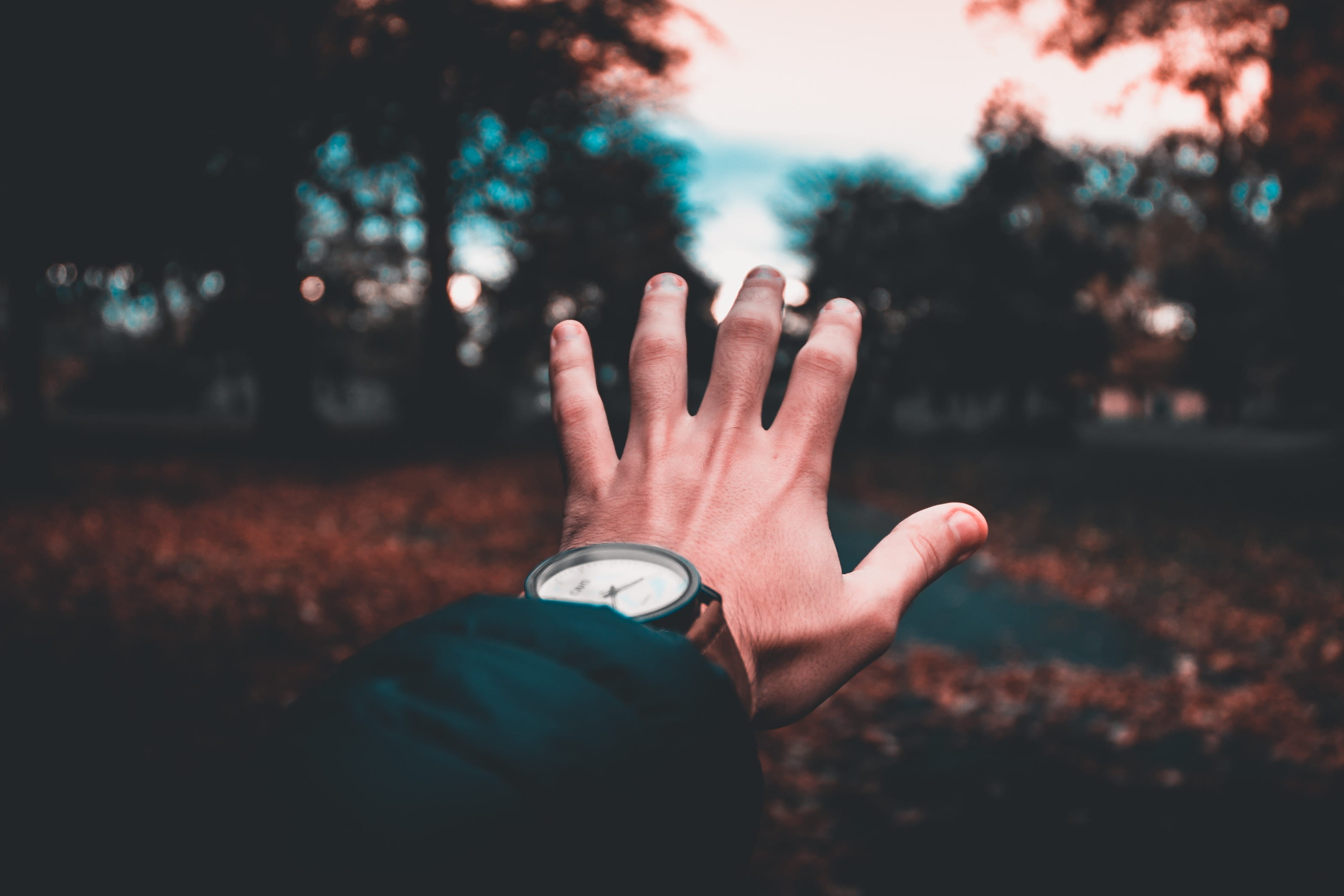 help, close-up, personal perspective, fall, people, autumn, tree, human hand, unrecognizable person, time, men, watch, finger, nature, real people, lifestyles, HD Wallpaper