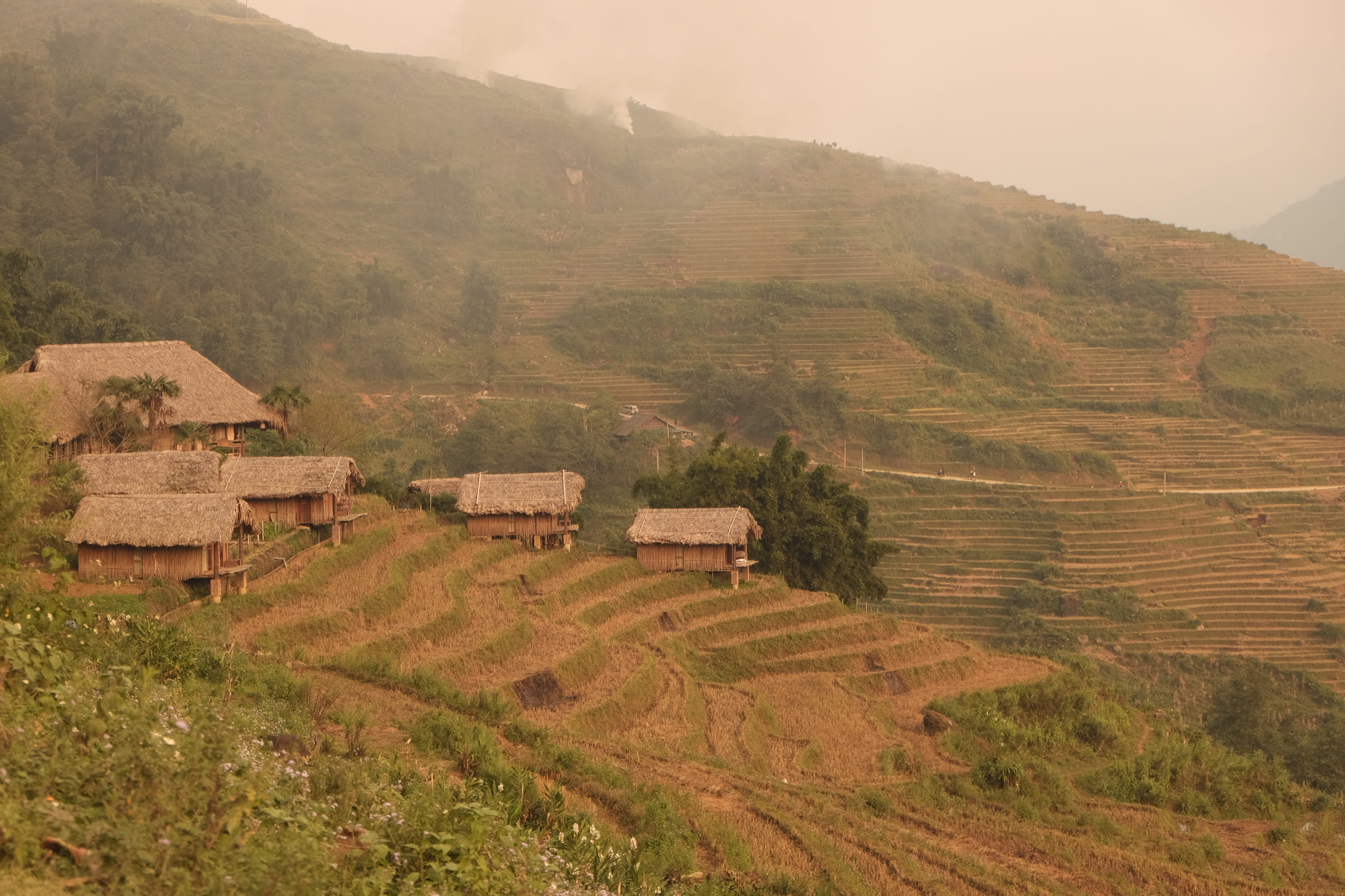 rural scene, forest, relax, hostel, no people, Mountain, scenery, journey, land, happy, outdoors, environment, House, vietnam, house, natural, homestay, HD Wallpaper