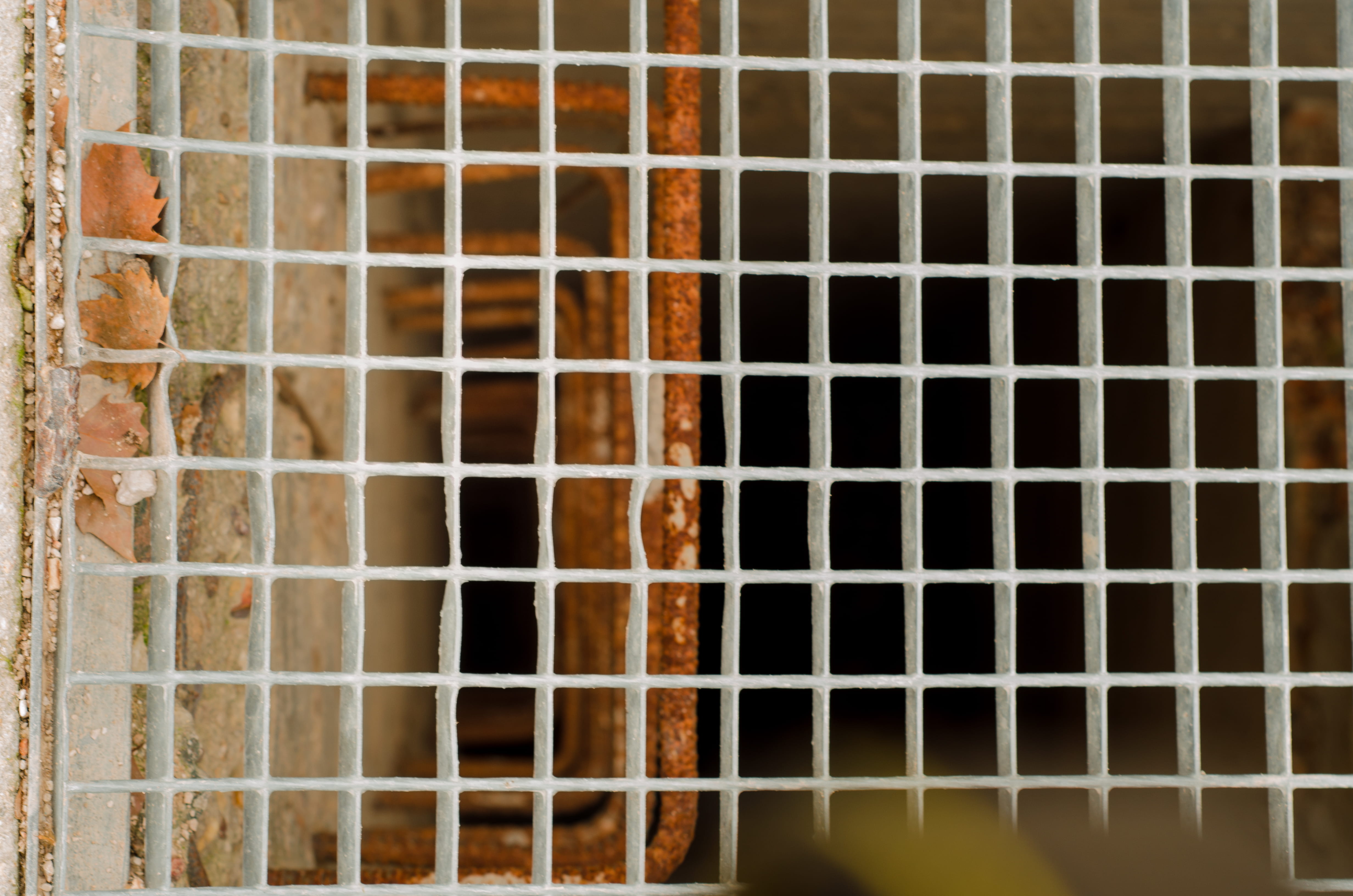 string, hiiden, full frame, architecture, musical instrument, selective focus, cage, pattern, brown, inconscient, musical equipment, indoors, punishment, HD Wallpaper