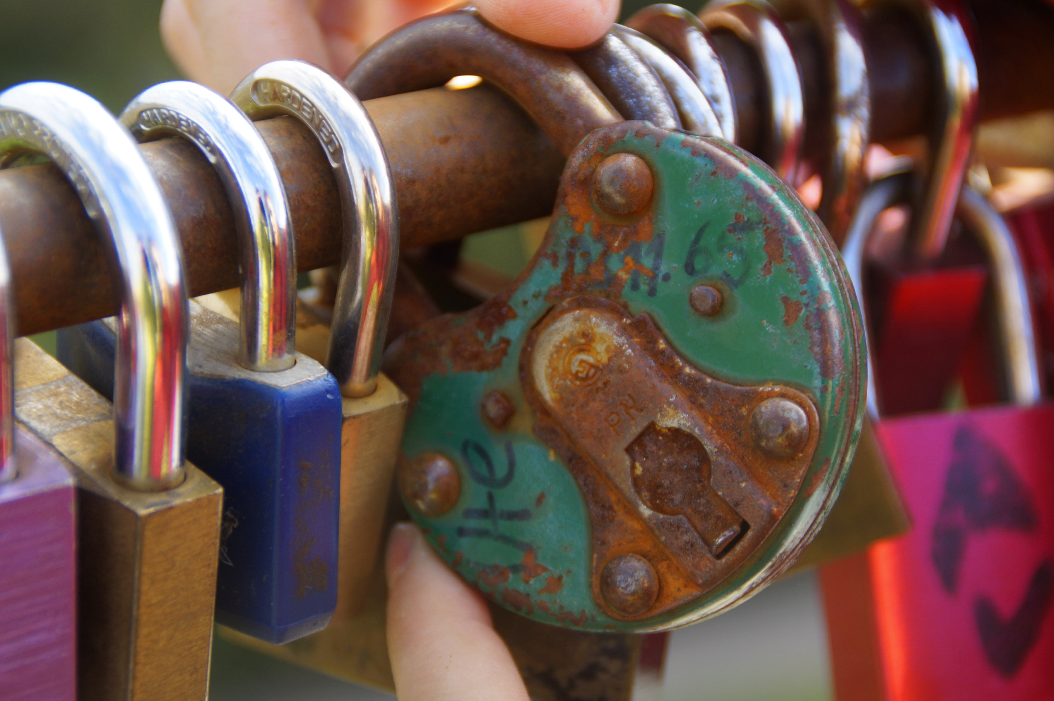 love locks, colorful, completed, shiny, u-lock, love symbol, castles, capping, padlocks, protection, metal, love, many, hand, 2K, safety, security, love castle, HD Wallpaper