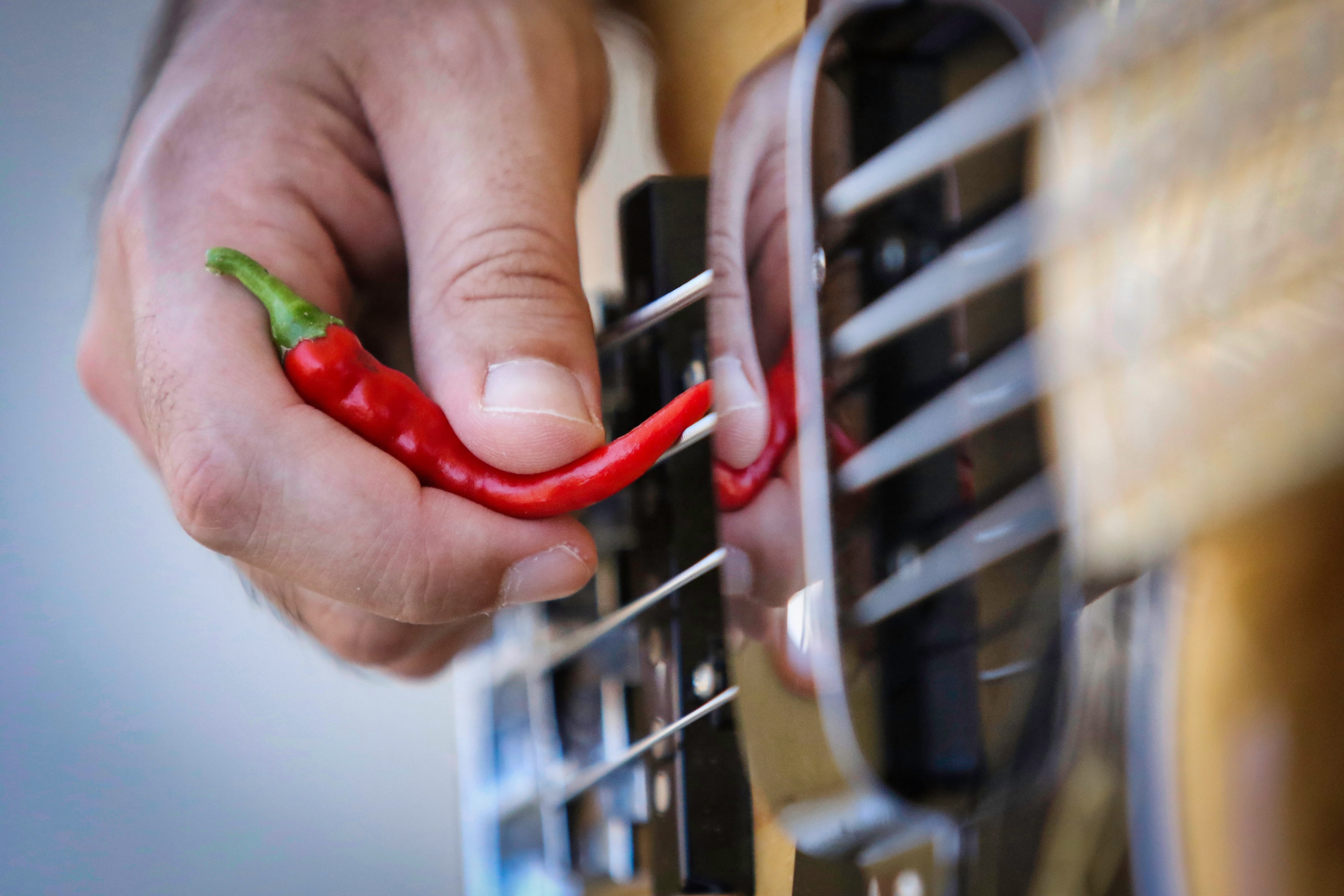 consumerism, musical instruments, red, low, young adult, store, strings, close-up, food and drink, song, artist, guitar, music, shelf, guitarist, show, HD Wallpaper