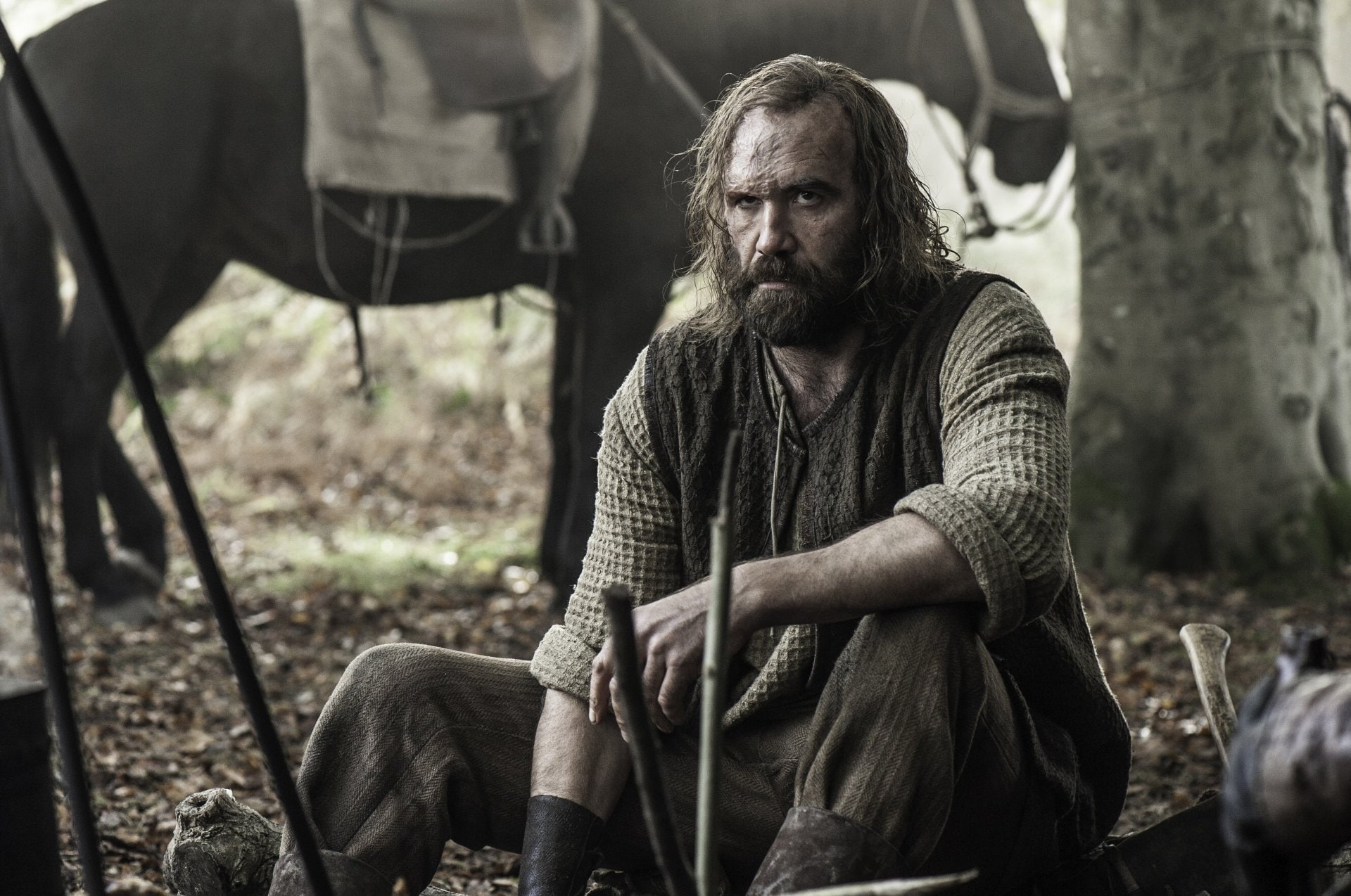 Sandor Clegane, TV Show, 1080P, Game Of Thrones, Rory McCann, HD Wallpaper
