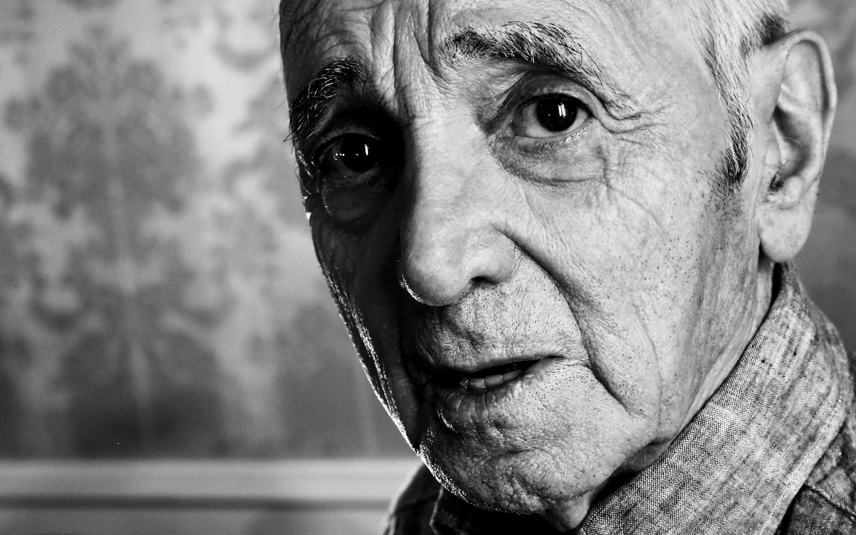 looking At Camera, real People, man, senior Adult, gray Hair, people, serious, black And White, bw, face, photo, contemplation, senior Men, human Face, HD Wallpaper