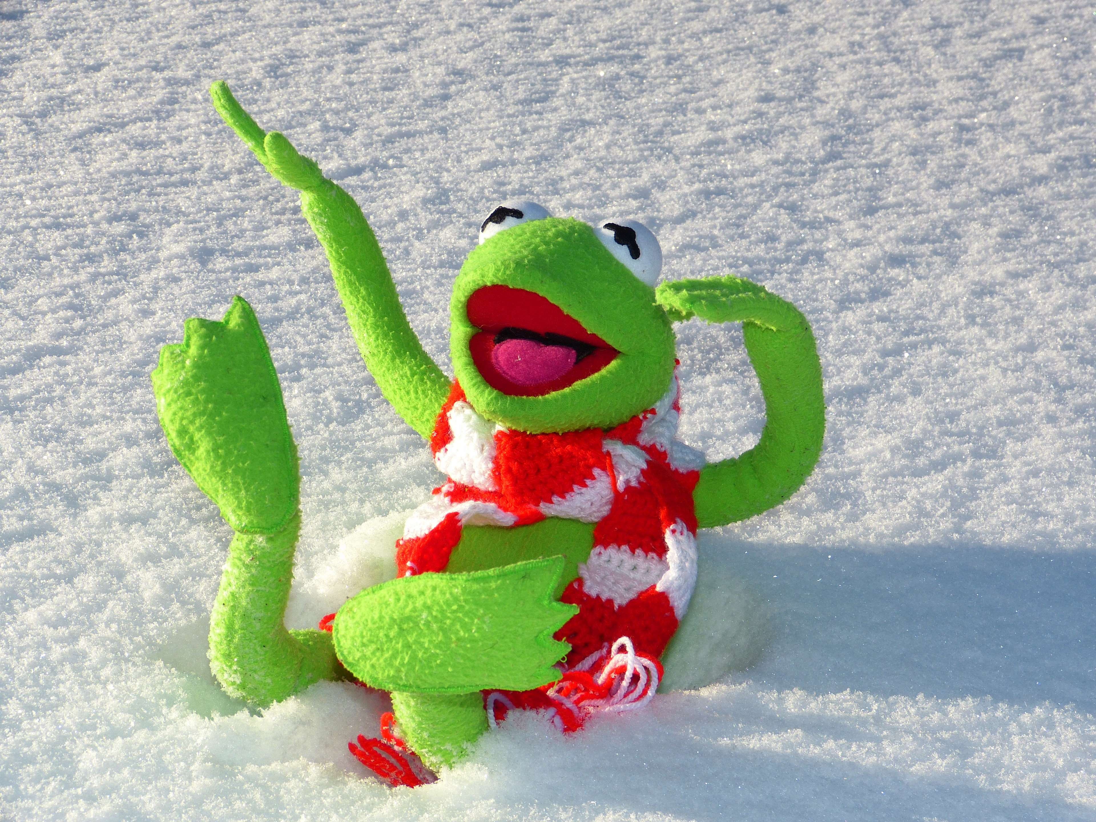 close-up, creativity, celebration, land, animal representation, cold, green color, representation, red, cold temperature, holiday, no people, nature, snow, HD Wallpaper