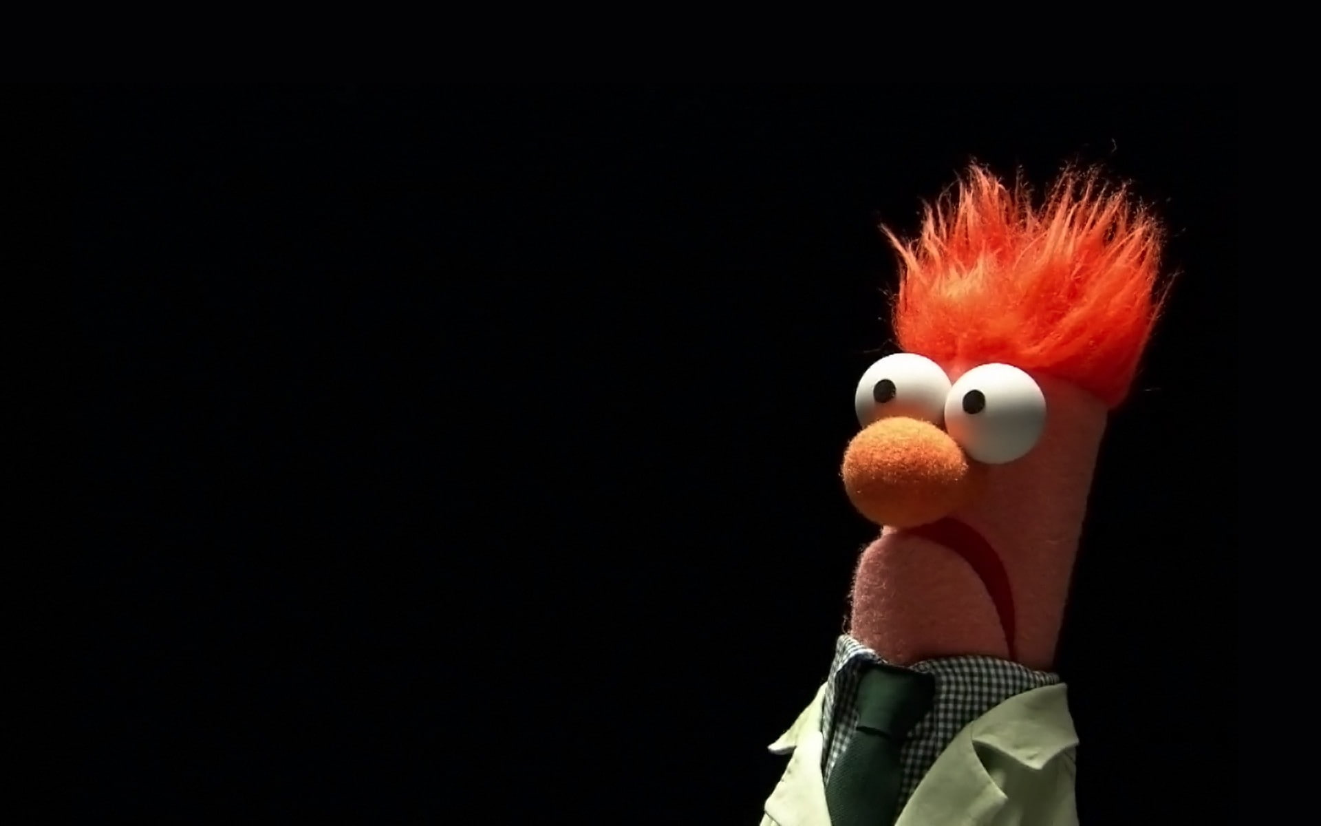 1080P, The Muppets, HD Wallpaper