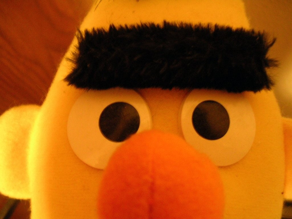 indoors, toy, eyeball, one person, eyesight, human face, human hair, bert, Sesame Street, close-up, hair, Bert (Sesame Street), sensory perception, real people, HD Wallpaper