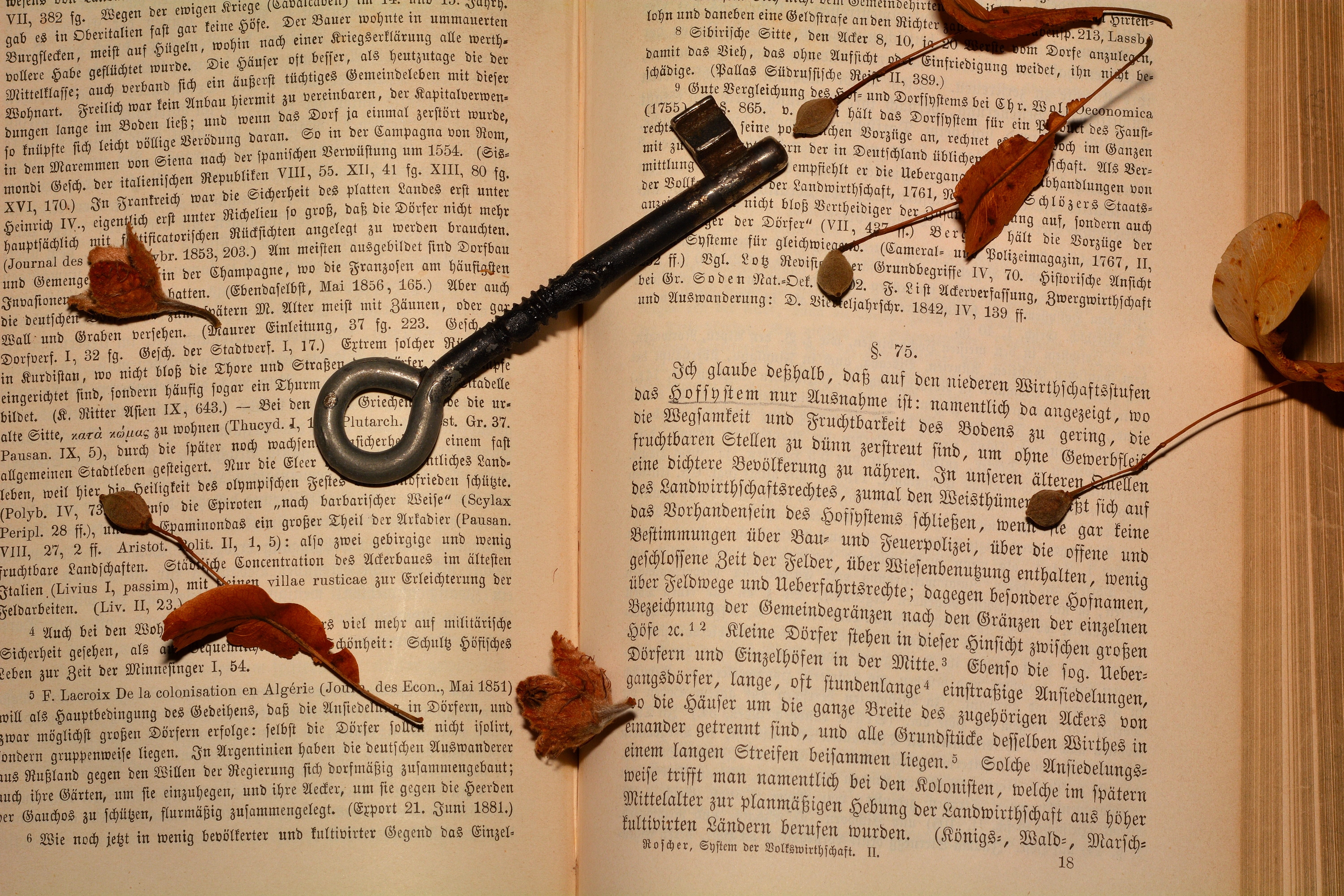 emotion, Old, legal system, no people, glasses, eyeglasses, still life, Close, nature, western script, education, ink, publication, page, open, close-up, HD Wallpaper