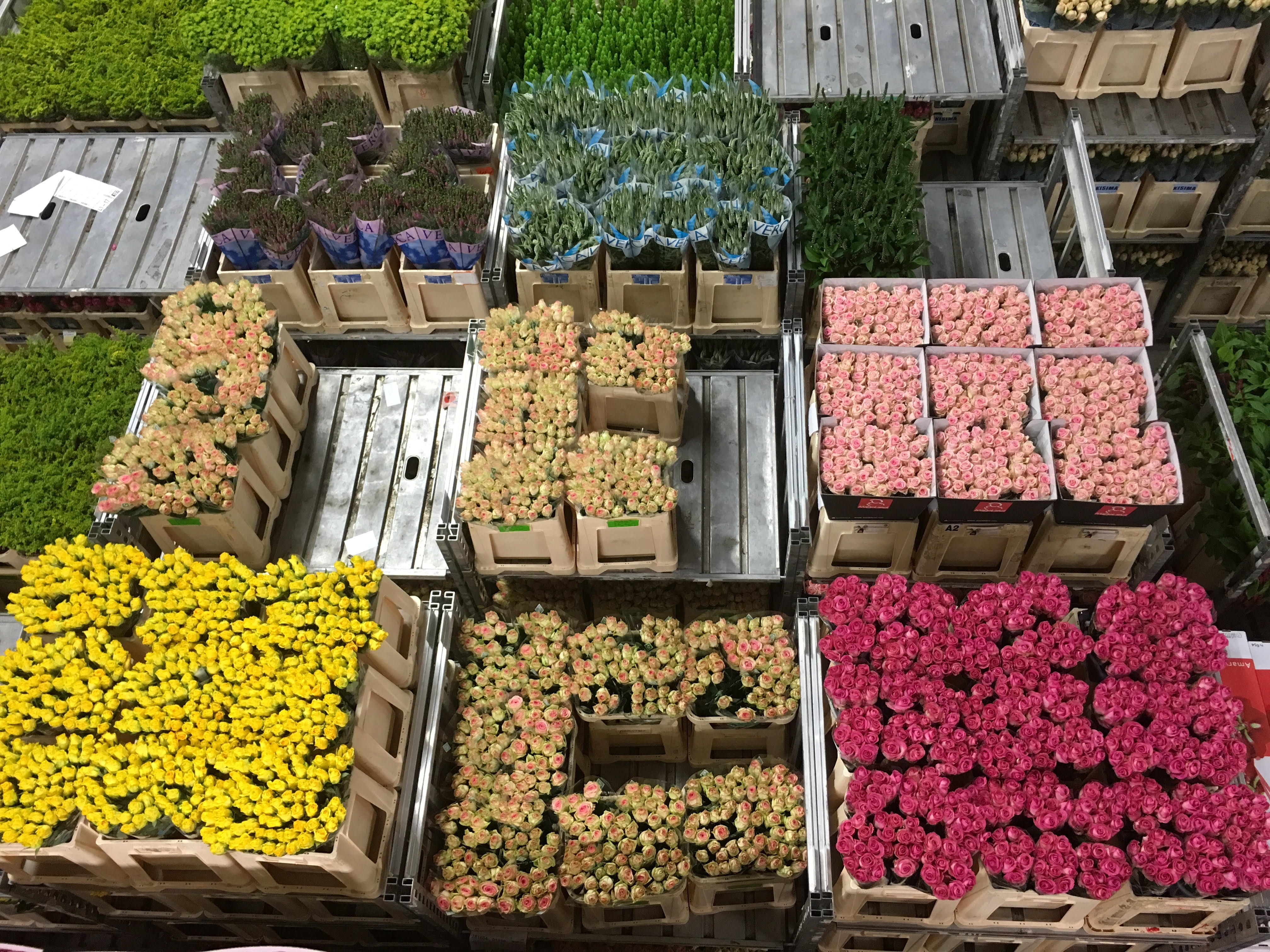 food, small business, day, food and drink, flower auction, arrangement, outdoors, aalsmeer, roses, variation, Holland, retail display, large group of objects, HD Wallpaper