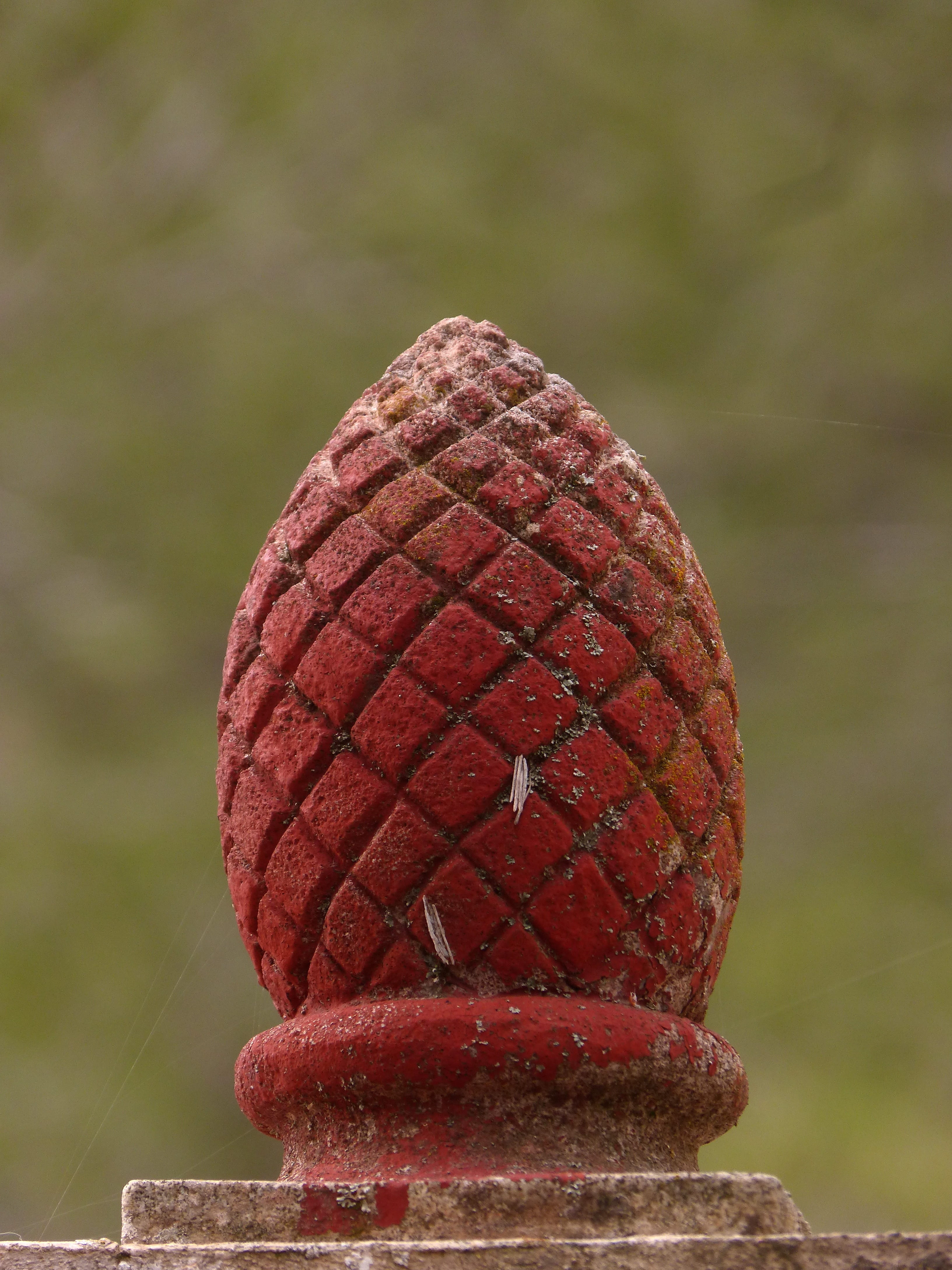 food, one animal, rusty, focus on foreground, outdoors, no people, metal, pineapple, auction, red, animal, pattern, animal themes, terracotta, day, brown, Phone HD Wallpaper