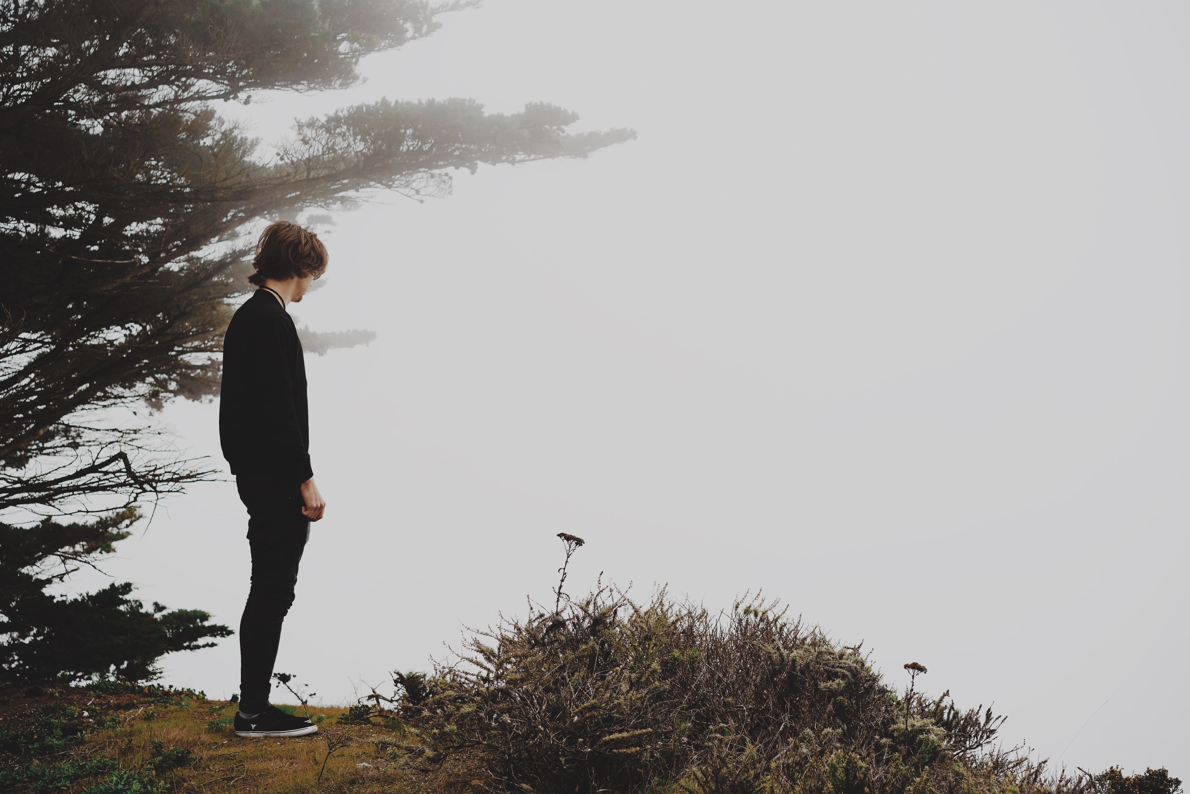 nature, black, outdoors, outdoor, one person, young men, 4K, sleeves, guy, copy space, people, casual clothing, alone, tree, real people, standing, man, HD Wallpaper