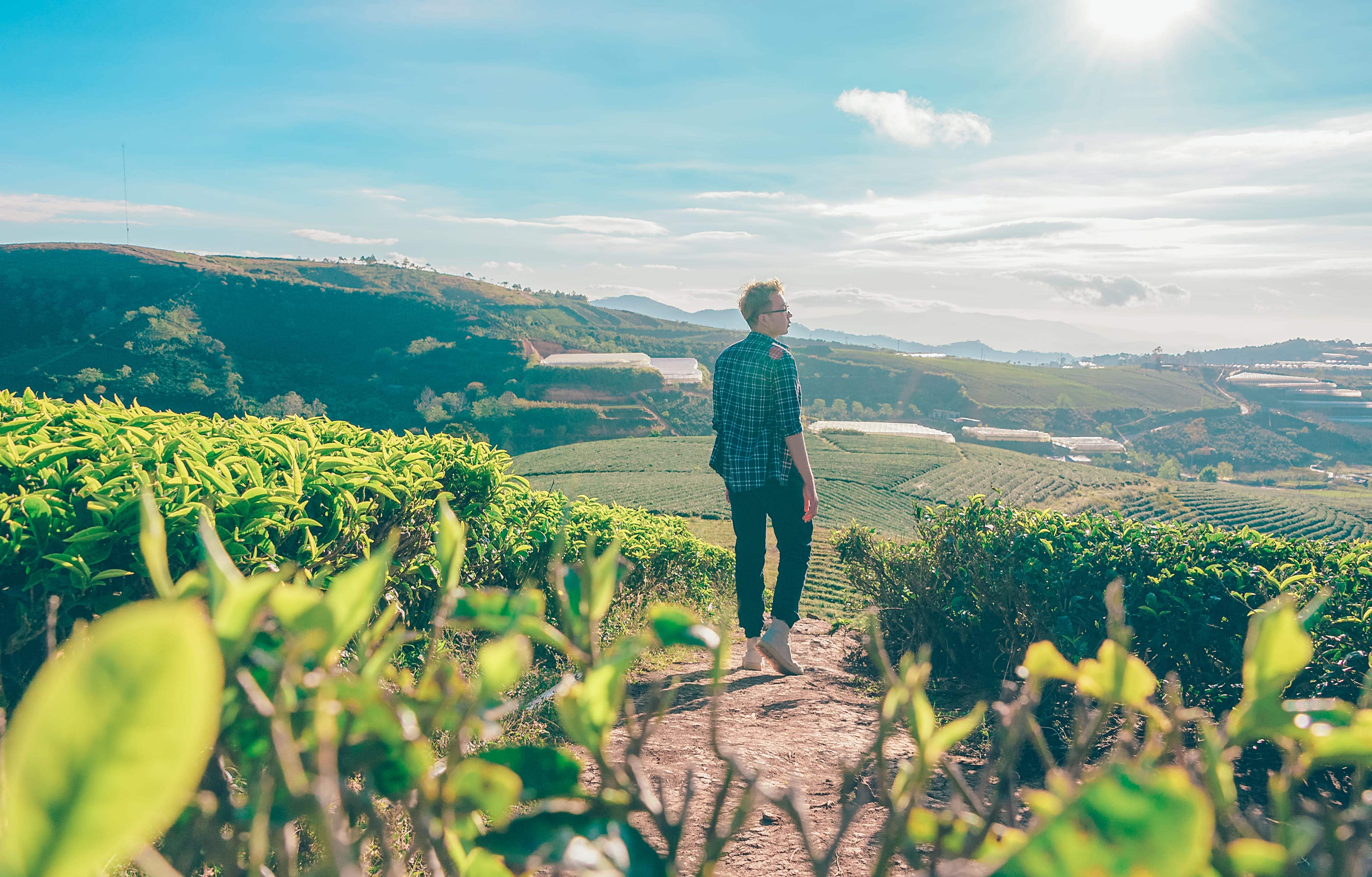 day, dress, man, one person, eyewear, clouds, shirt, sky, cropland, daytime, full length, green, mountain, real people, farmland, mountain range, rear view, HD Wallpaper