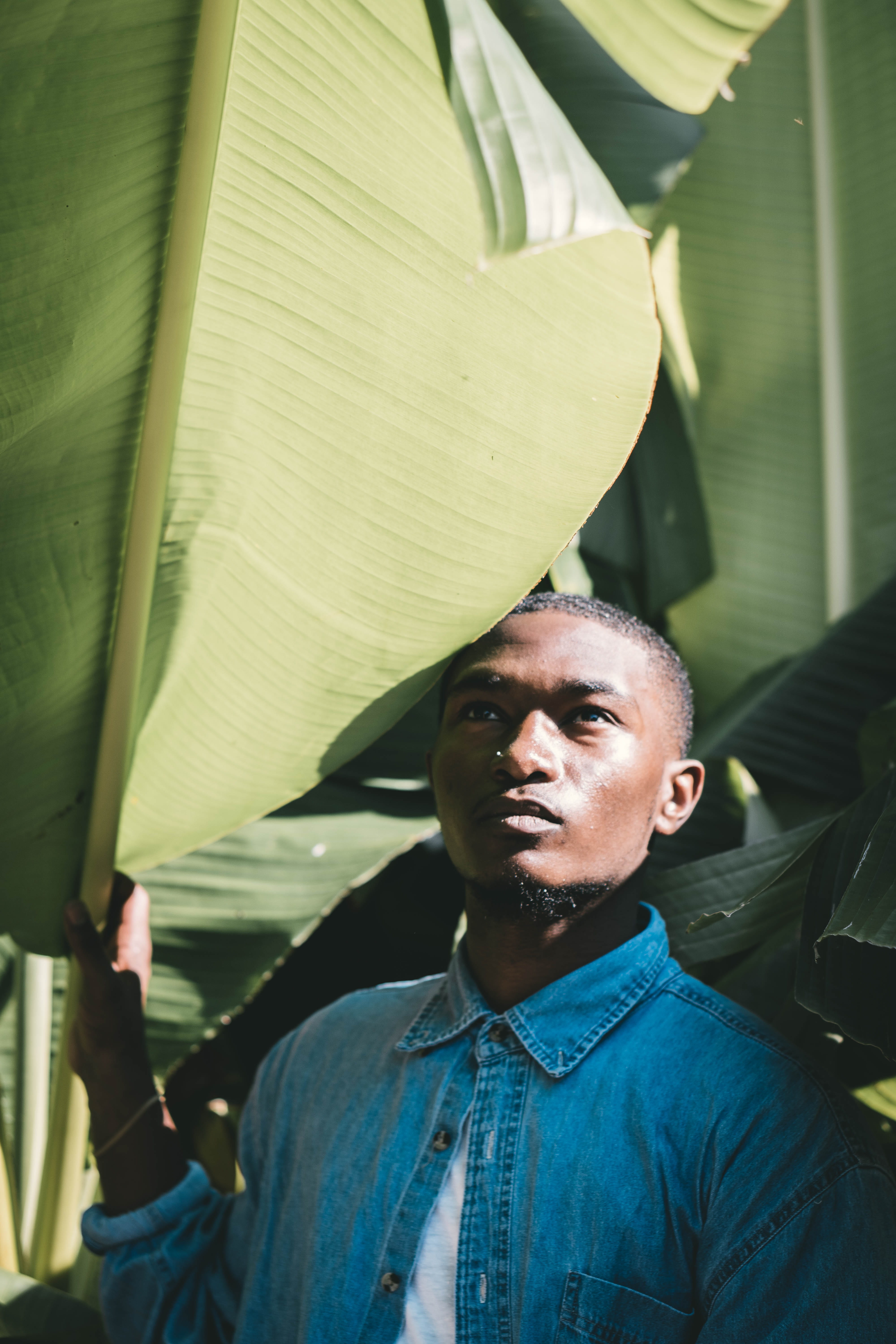 sunlight, males, young men, banana, 5K, leaf, looking, standing, blue, man, one person, casual clothing, looking away, day, portrait, front view, lifestyles, Phone HD Wallpaper