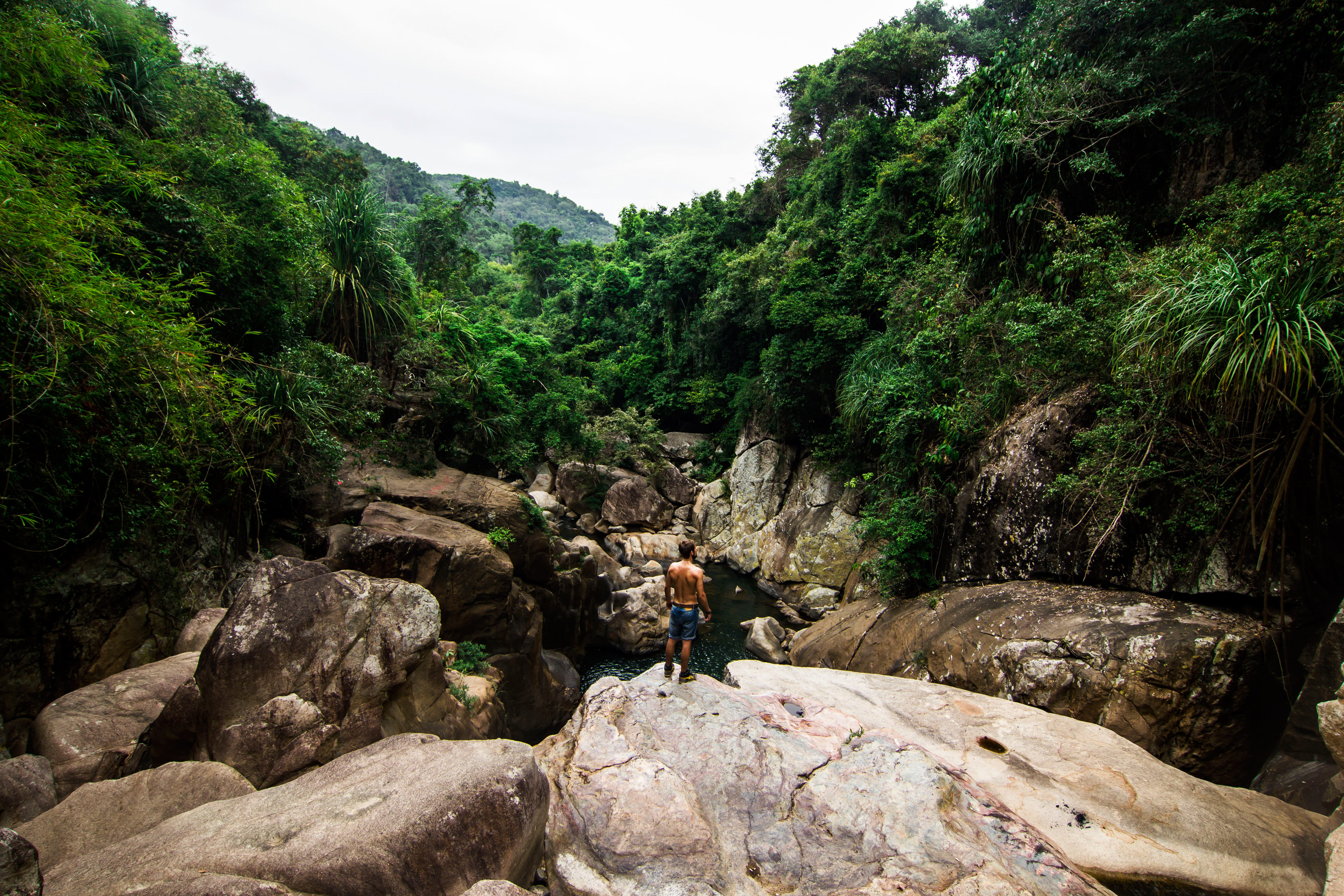 near, jungle, leisure activity, outdoors, nature, solid, tree, water, rock, boulder, standing, 5K, waterfall, rock - object, creek, rock formation, lifestyles, HD Wallpaper