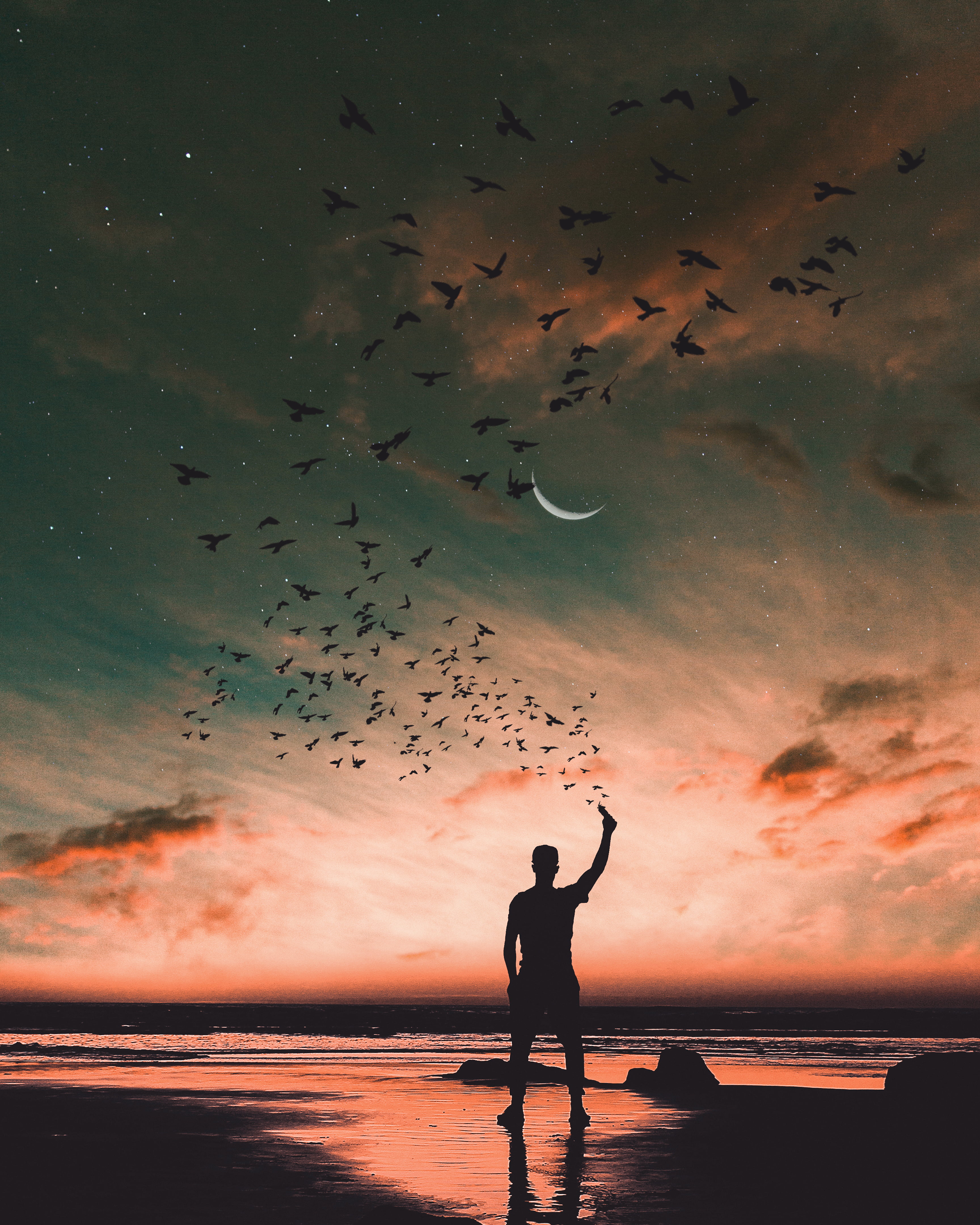 flying, animals in the wild, man, sea, outdoors, water, success, vertebrate, joy, beach, backgrounds, nature, men, fun, putting, vacations, beauty In Nature, Phone HD Wallpaper