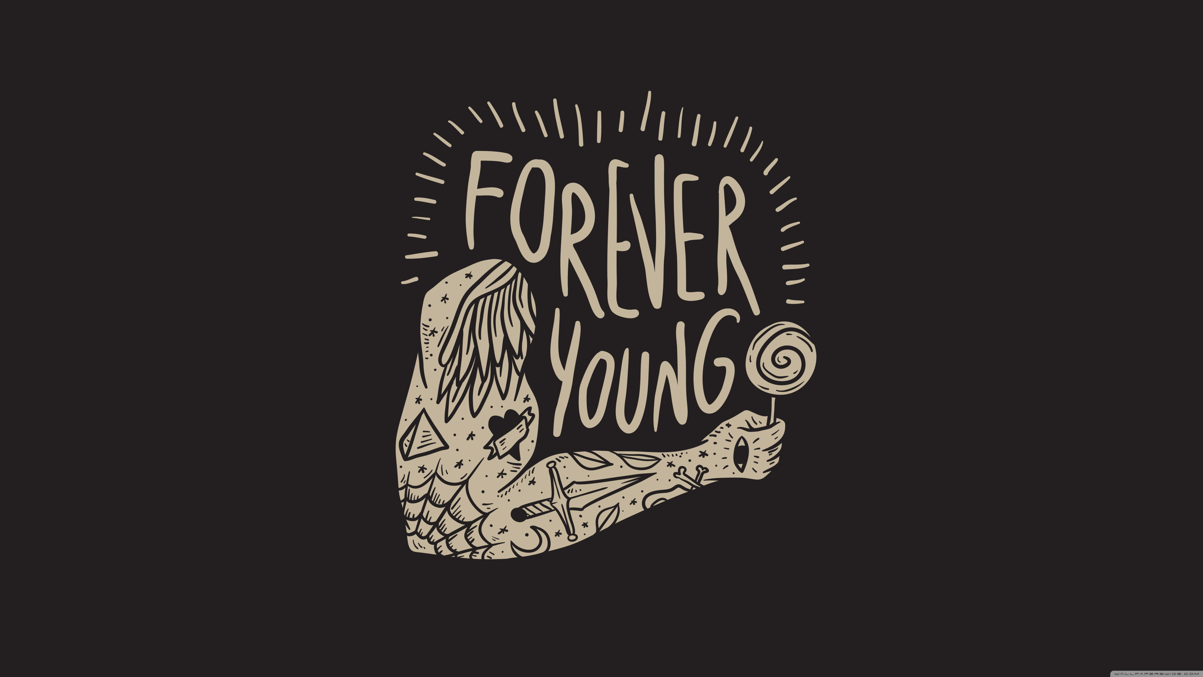 creativity, typography, 5K, quote, typo, typographic portraits, HD Wallpaper