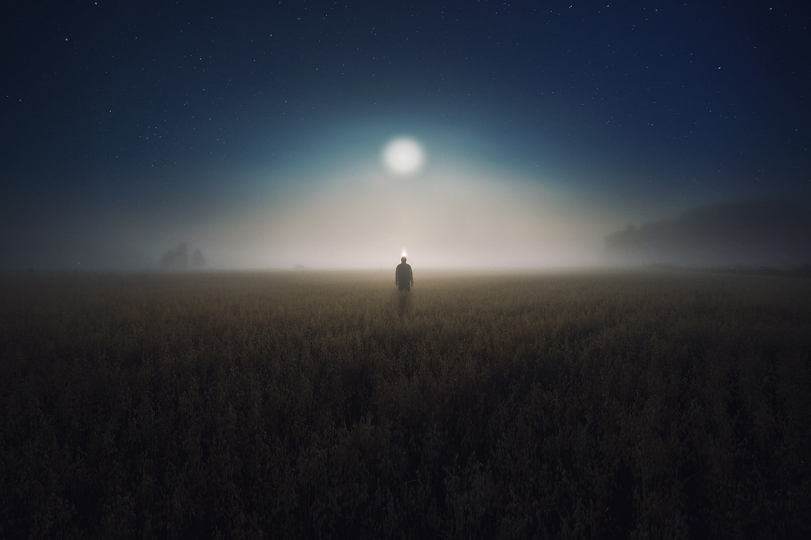 standing, astronomy, nature, land, environment, sky, night, beauty in nature, mist, tranquility, electronic, plant, black, men, moon, field, 720P, landscape, HD Wallpaper