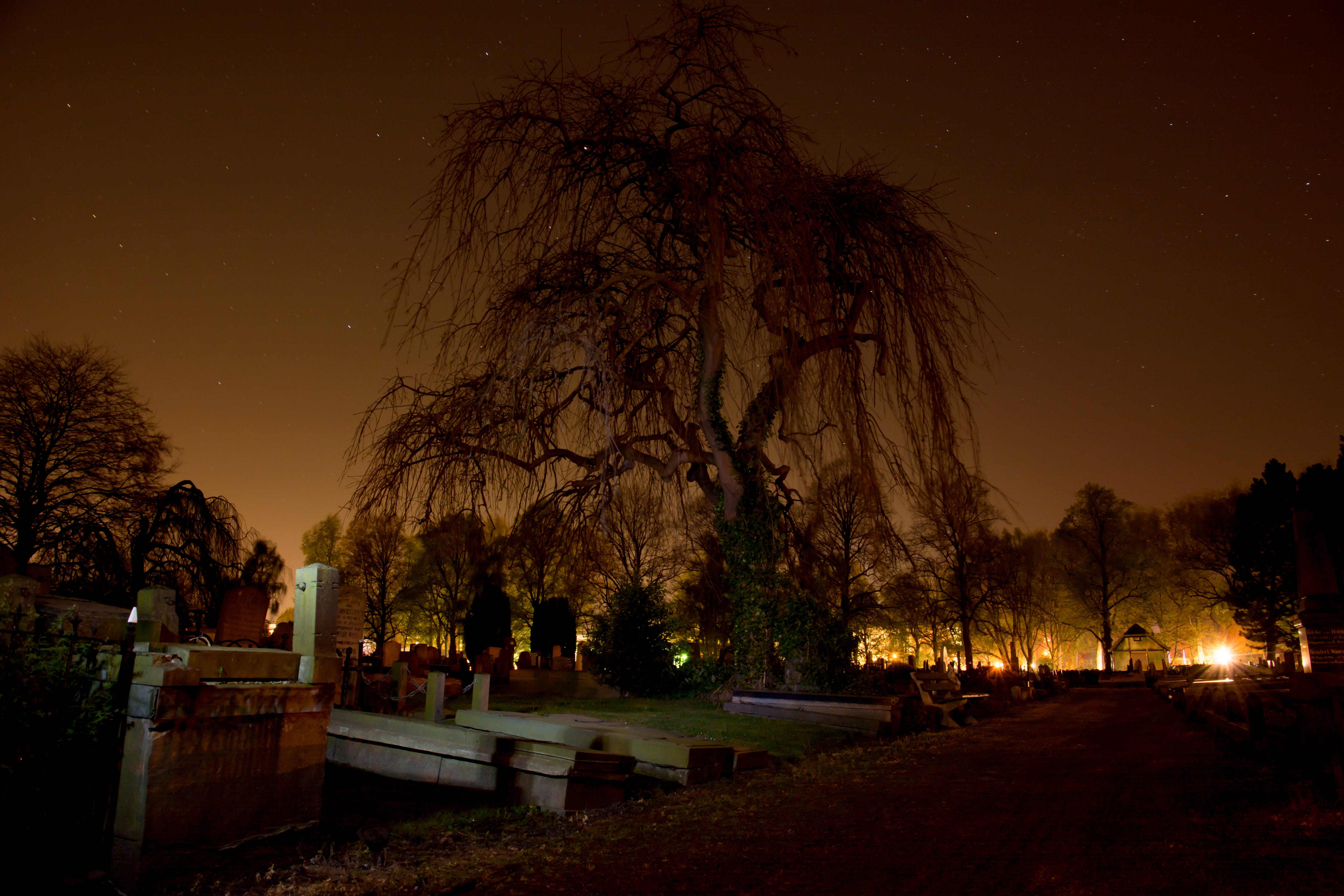 nature, beside, tranquil scene, relaxation, bench, illuminated, plant, spooky, bridge, sky, starry, park - man made space, dusk, outdoors, no people, sullen, HD Wallpaper